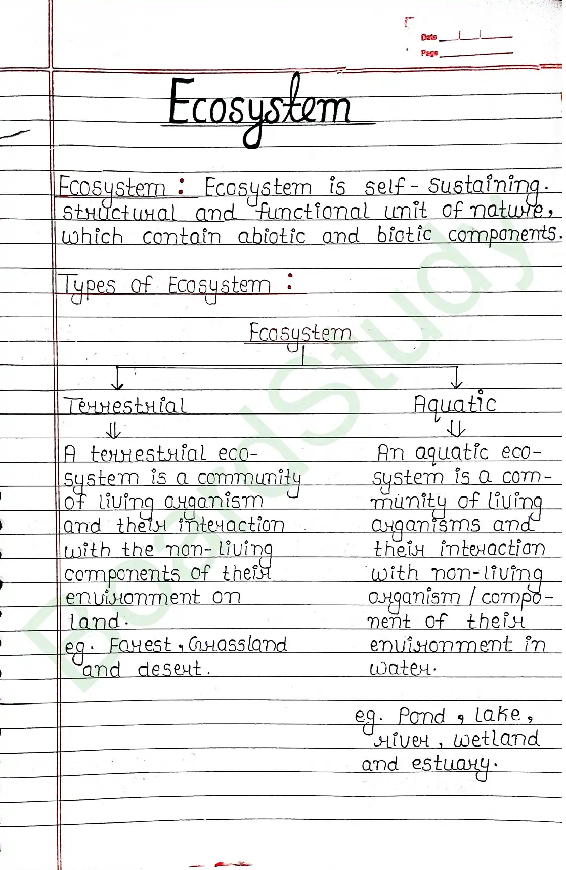 12. Ecosystem-2_page-0001