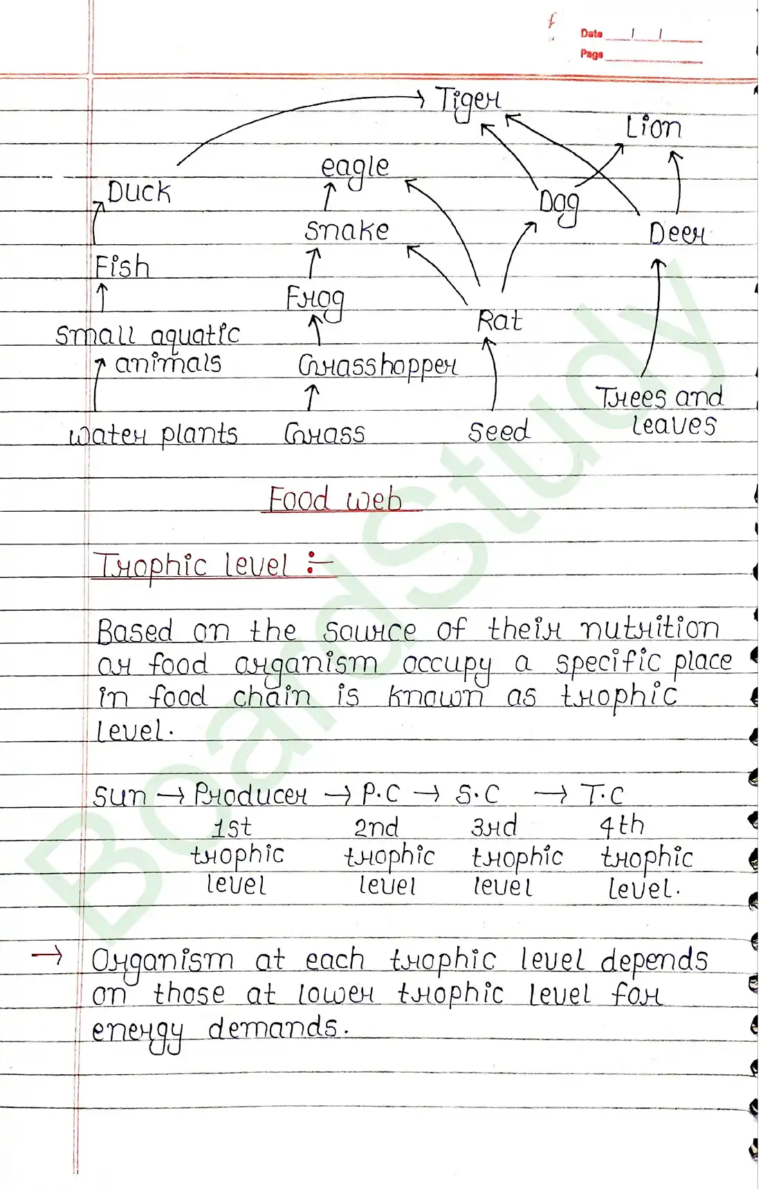 12. Ecosystem-2_page-0012