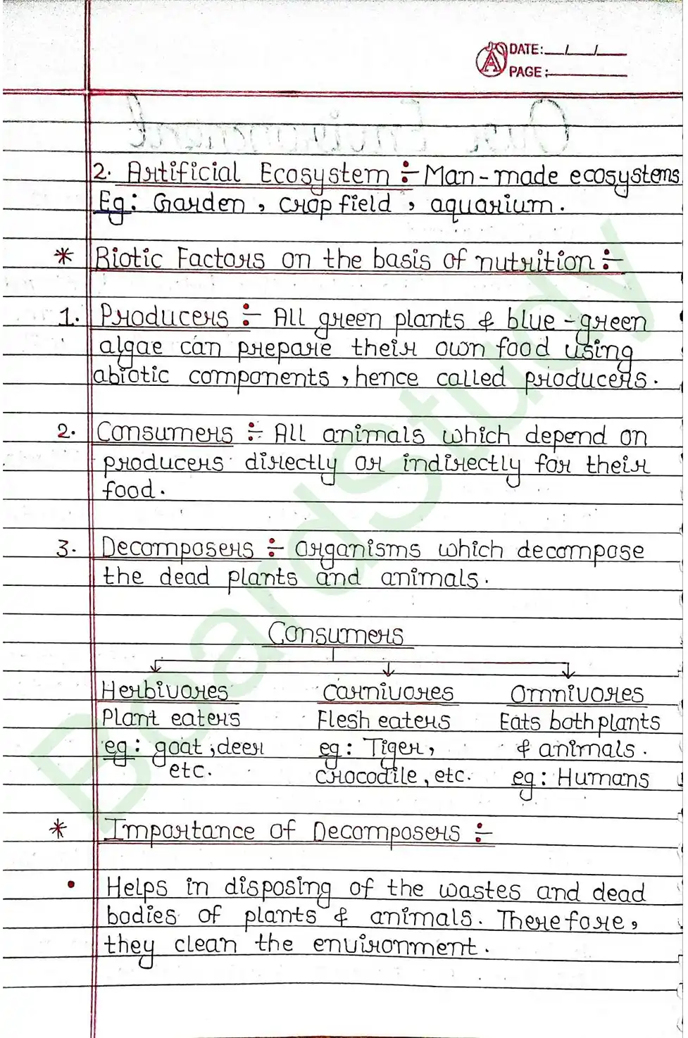 13. Our Environment_page-0002