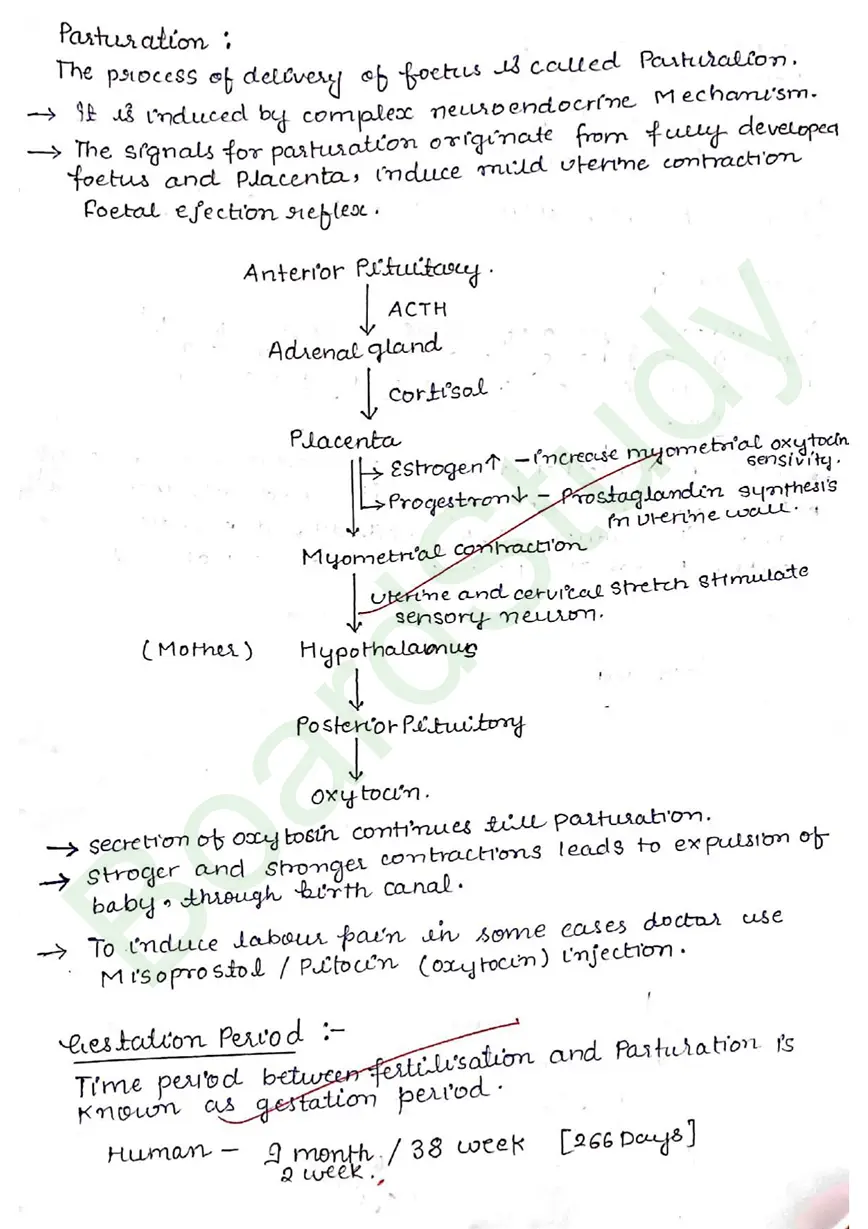 2. Human Reproduction Notes_page-0027
