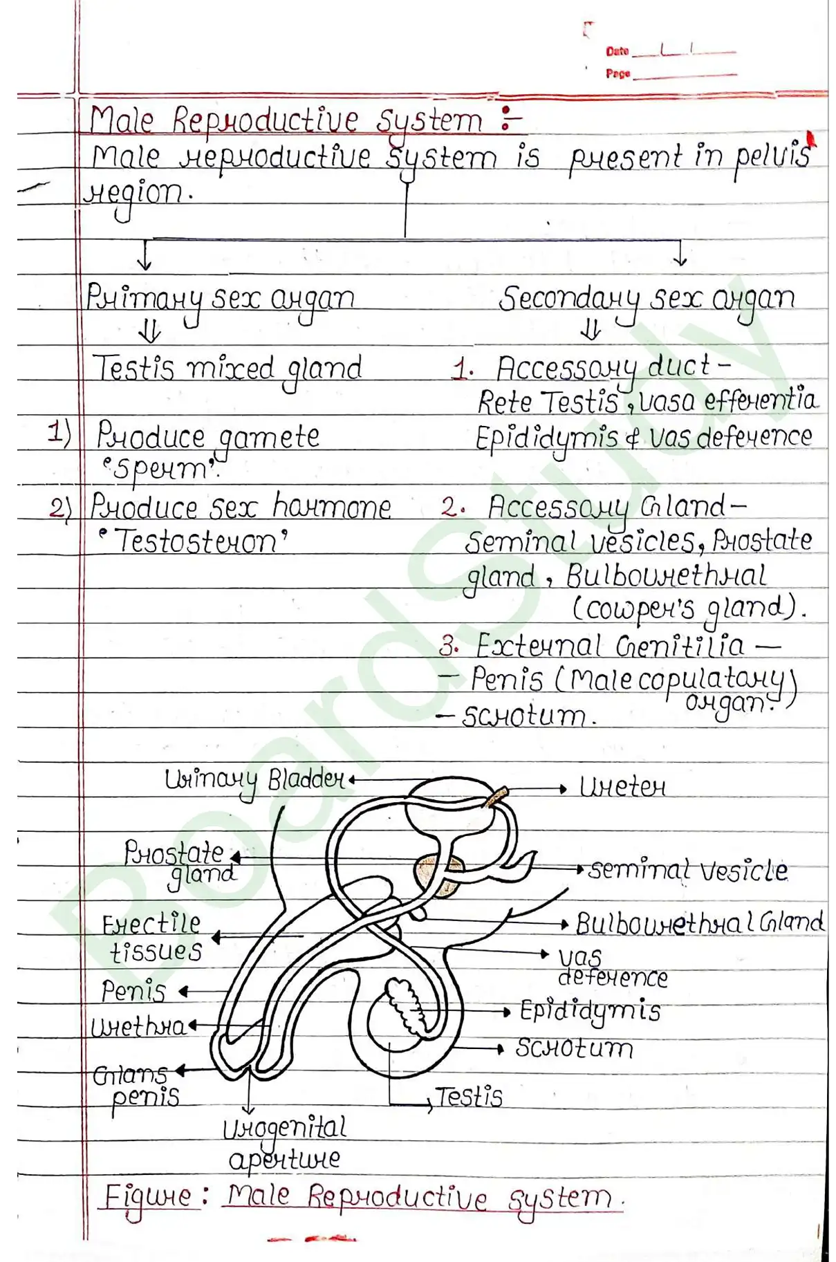 2. Human reproduction_page-0002