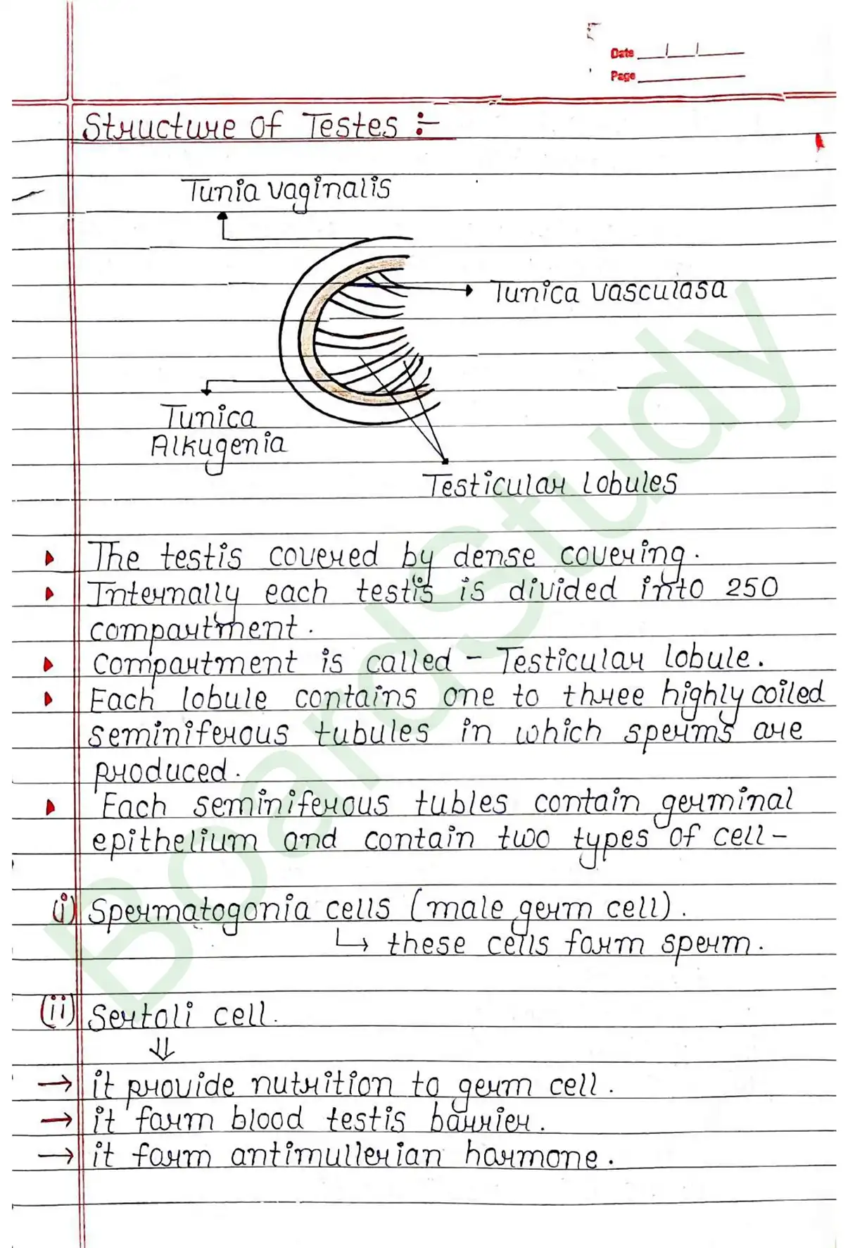 2. Human reproduction_page-0004