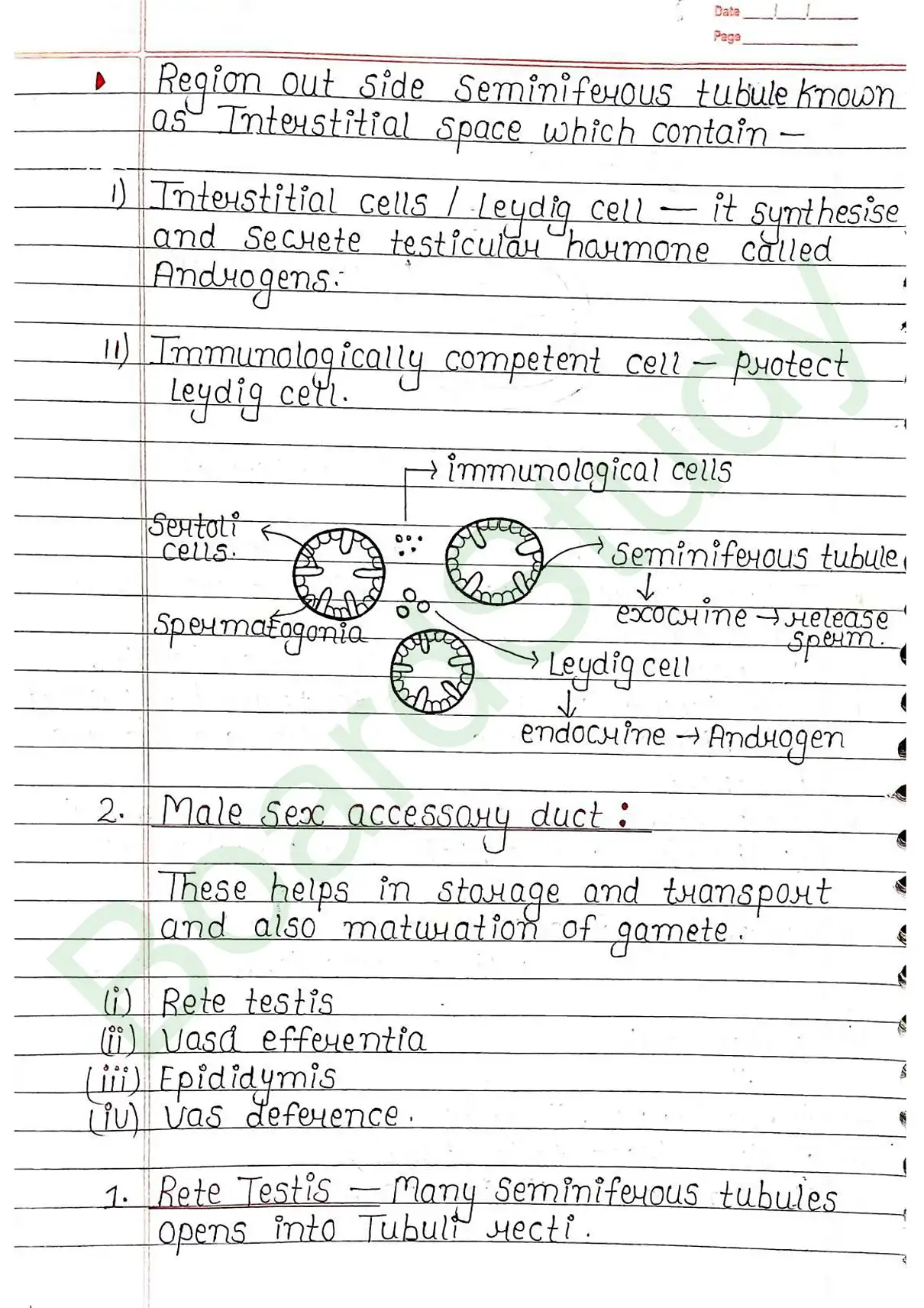 2. Human reproduction_page-0005
