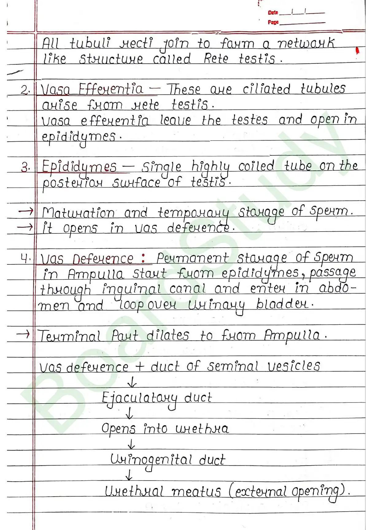 2. Human reproduction_page-0006