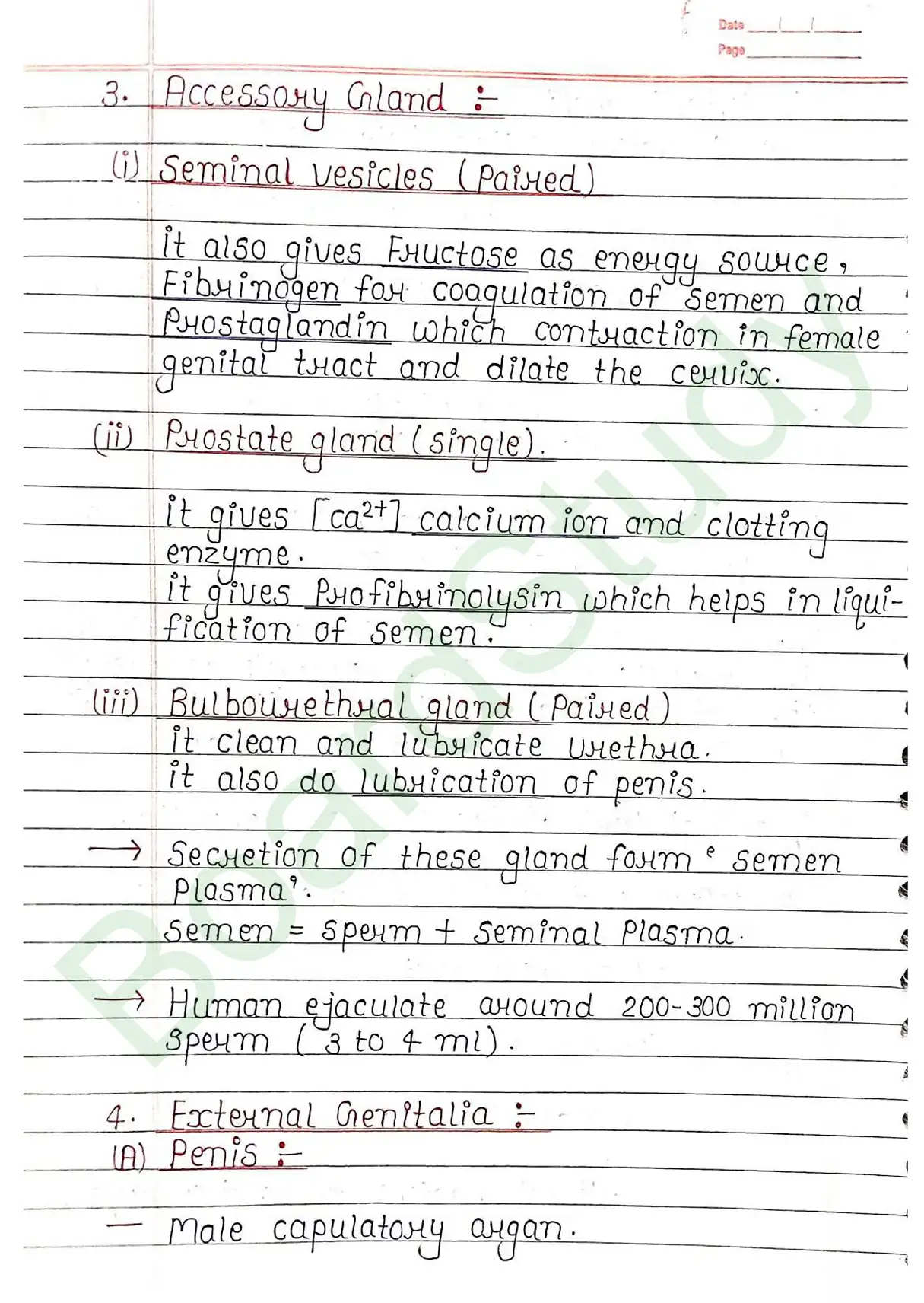 2. Human reproduction_page-0007