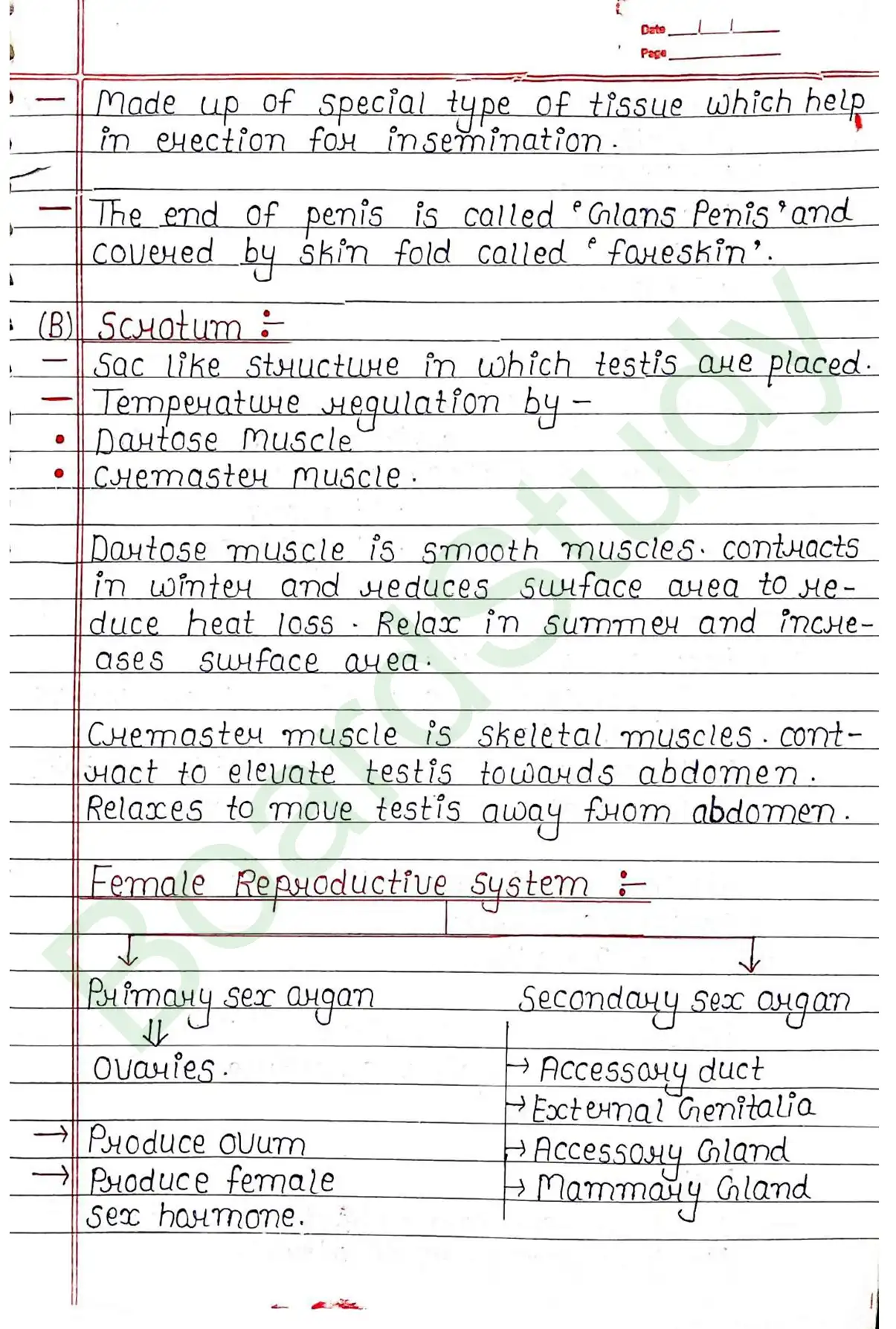 2. Human reproduction_page-0008
