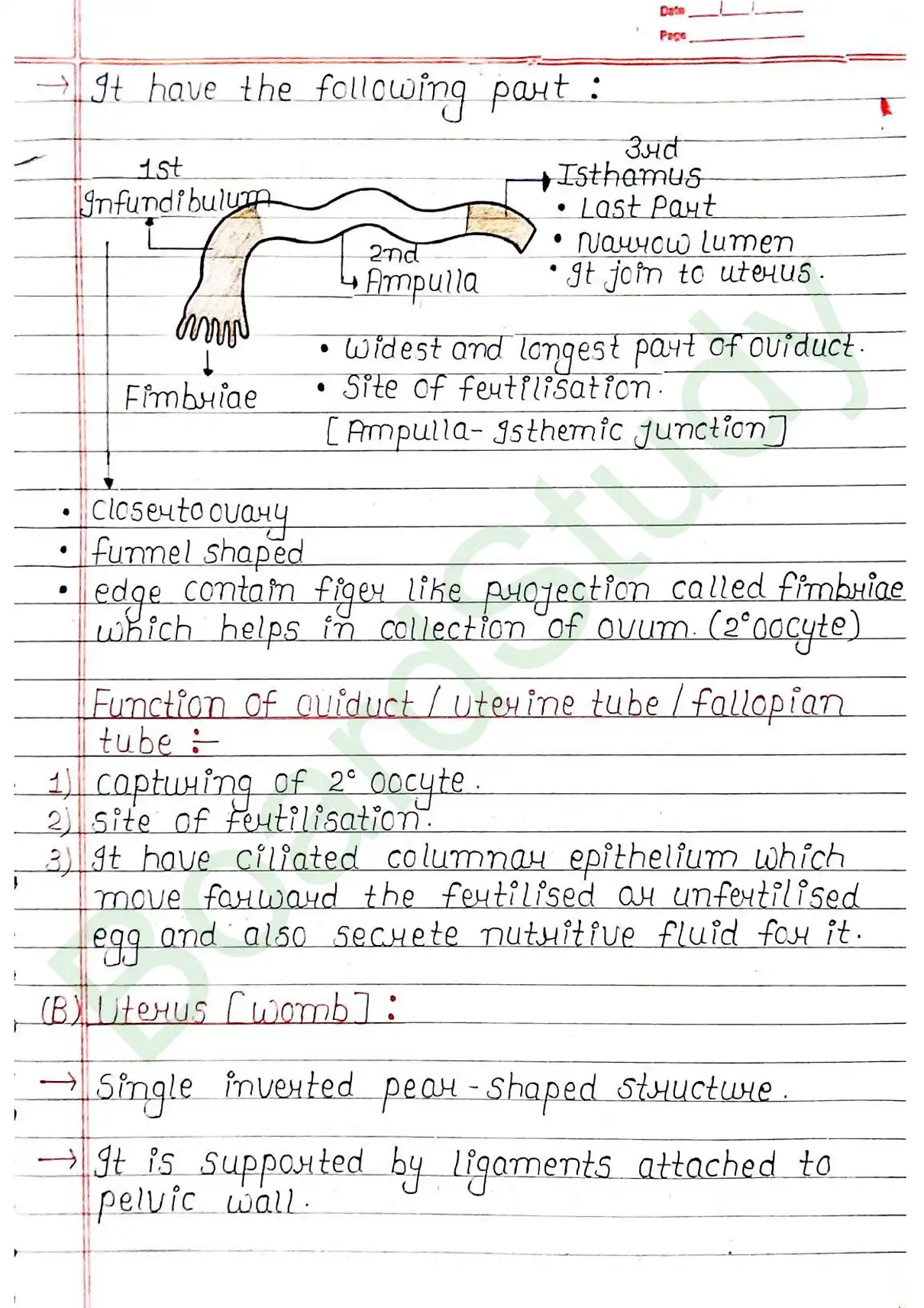 2. Human reproduction_page-0010