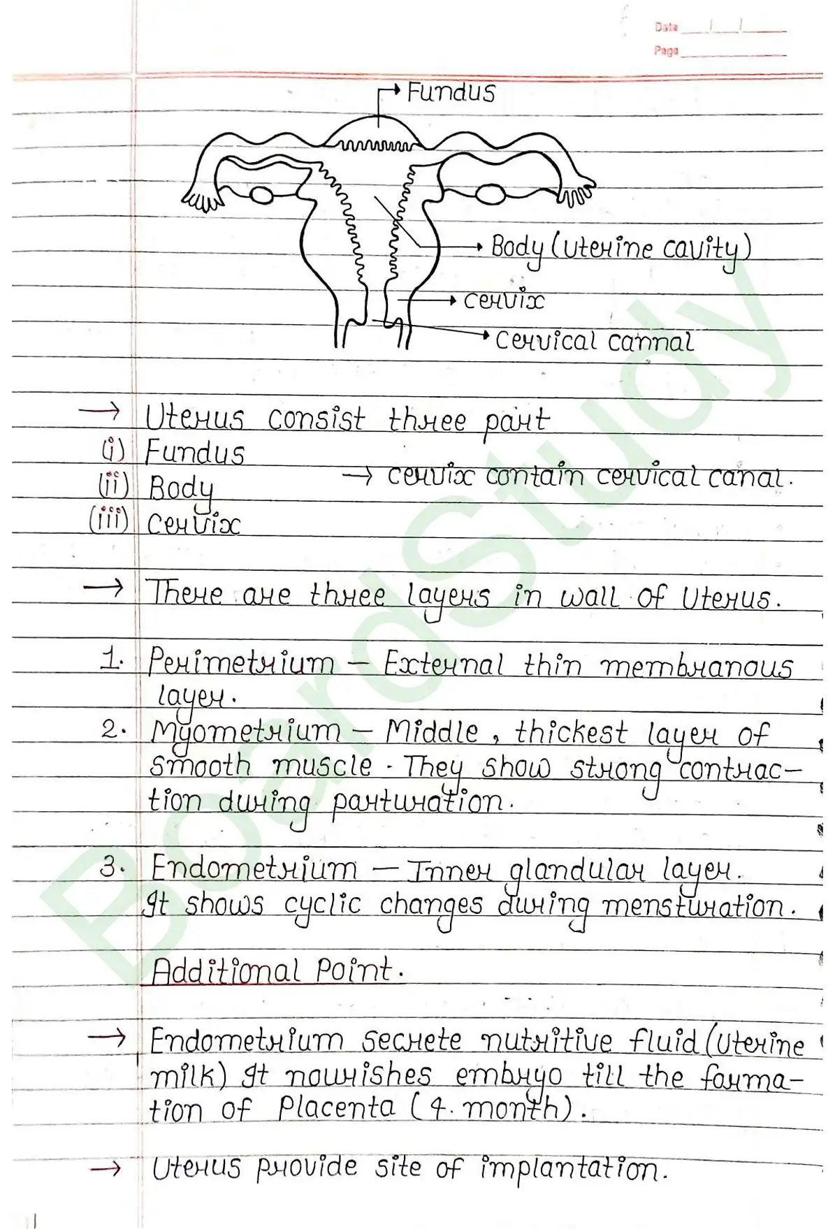 2. Human reproduction_page-0011