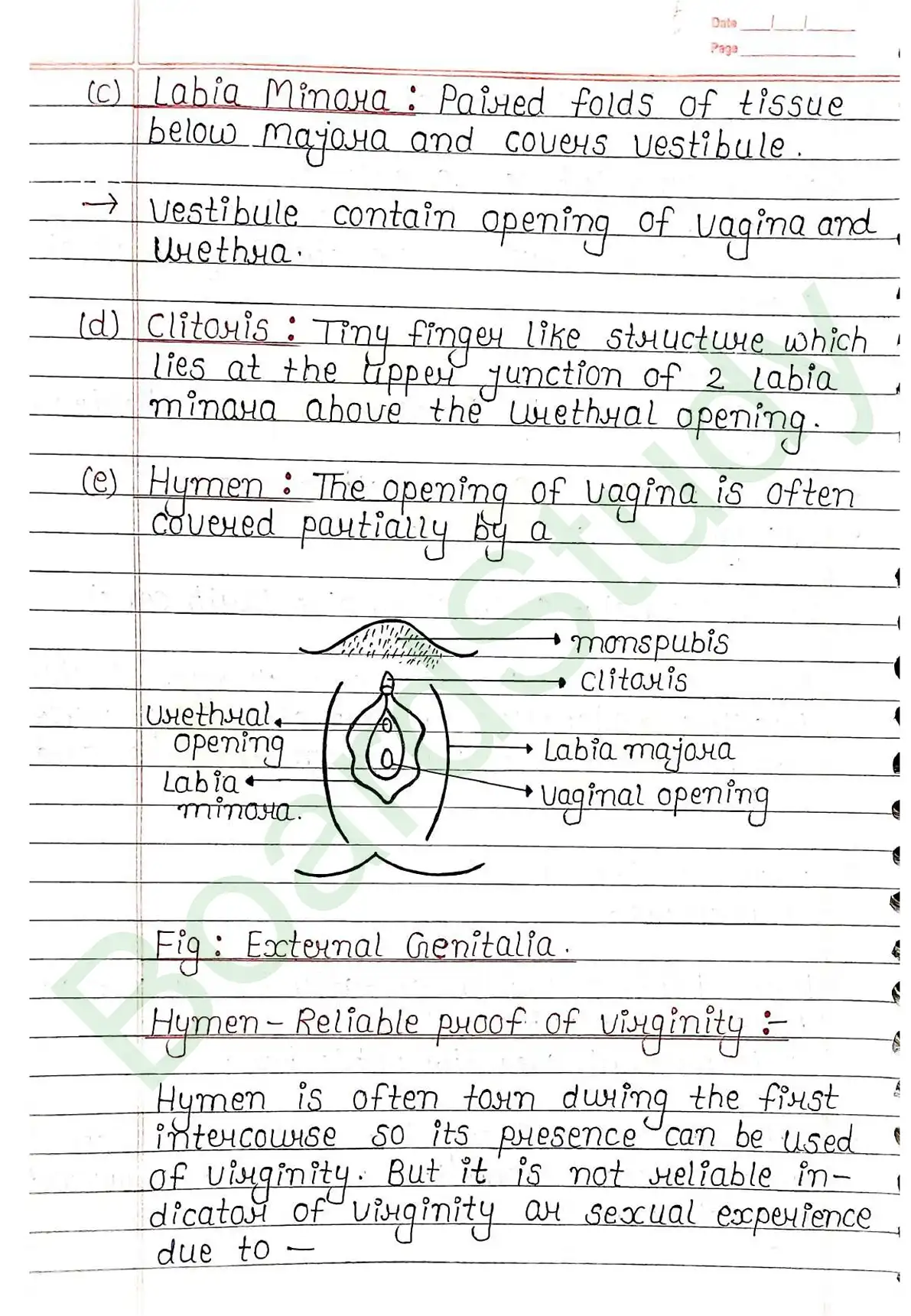 2. Human reproduction_page-0013