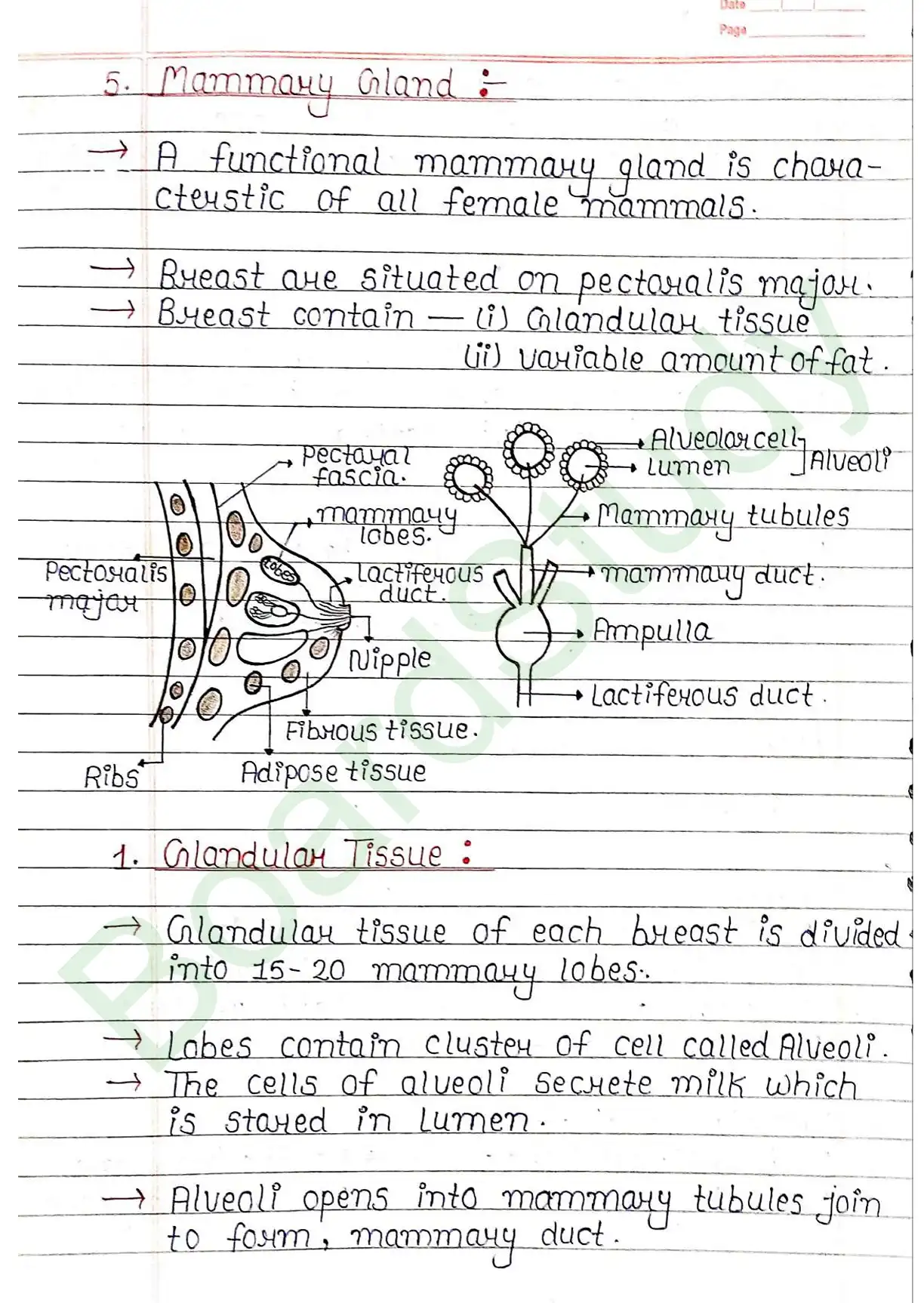 2. Human reproduction_page-0015