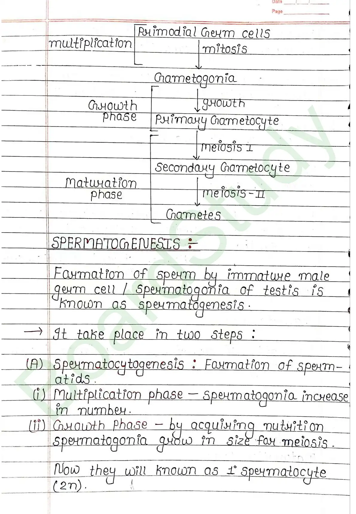 2. Human reproduction_page-0017