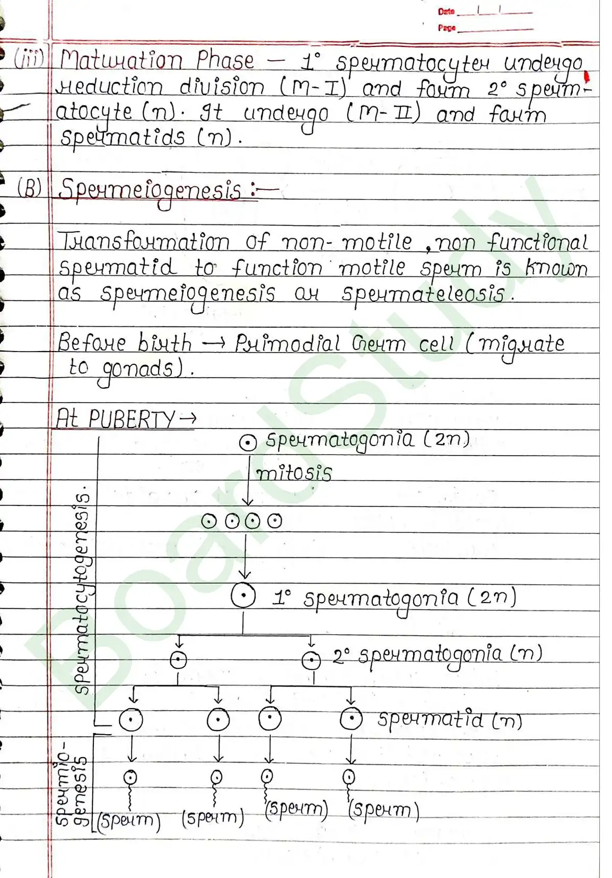 2. Human reproduction_page-0018