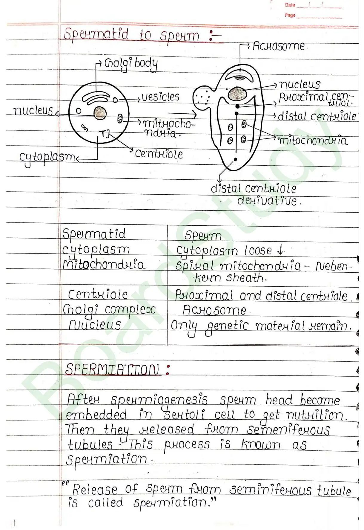 2. Human reproduction_page-0019