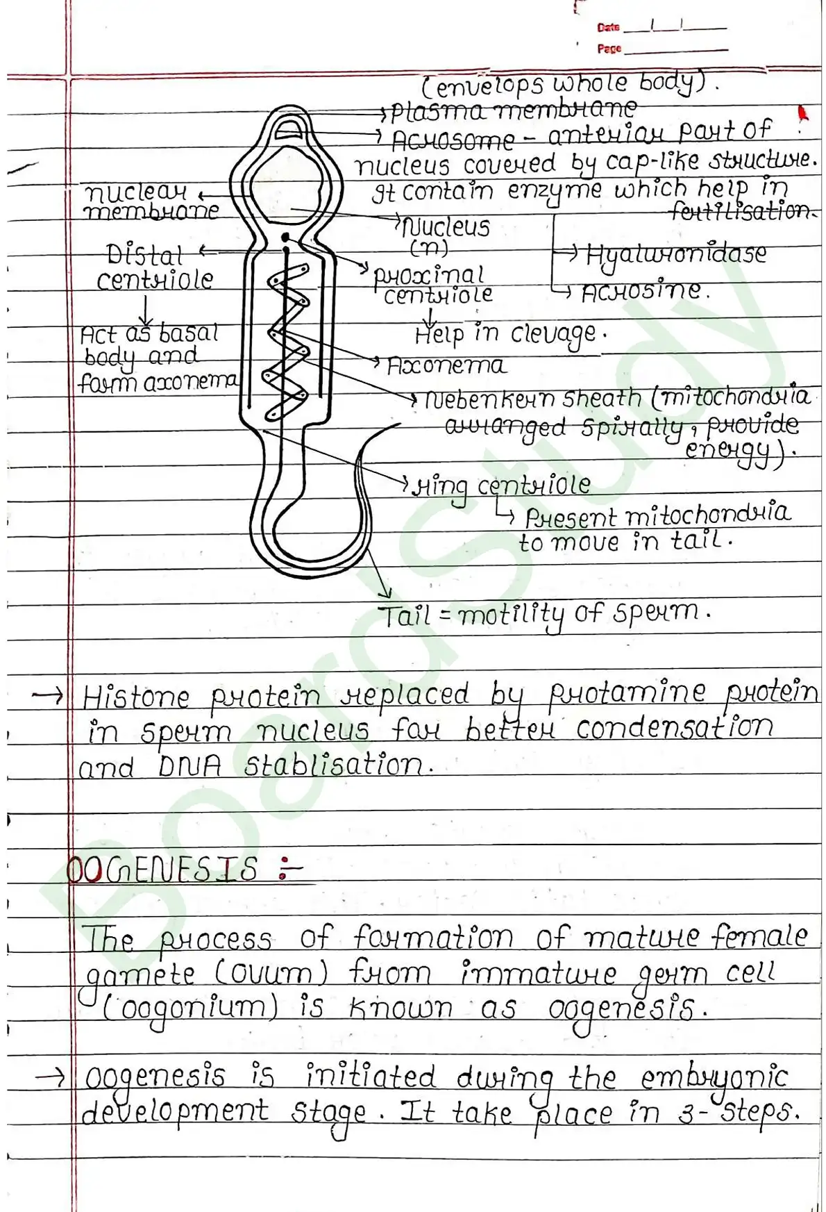 2. Human reproduction_page-0022