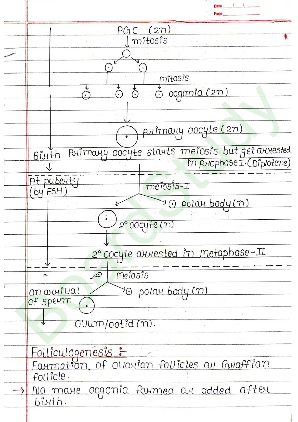 2. Human reproduction_page-0024