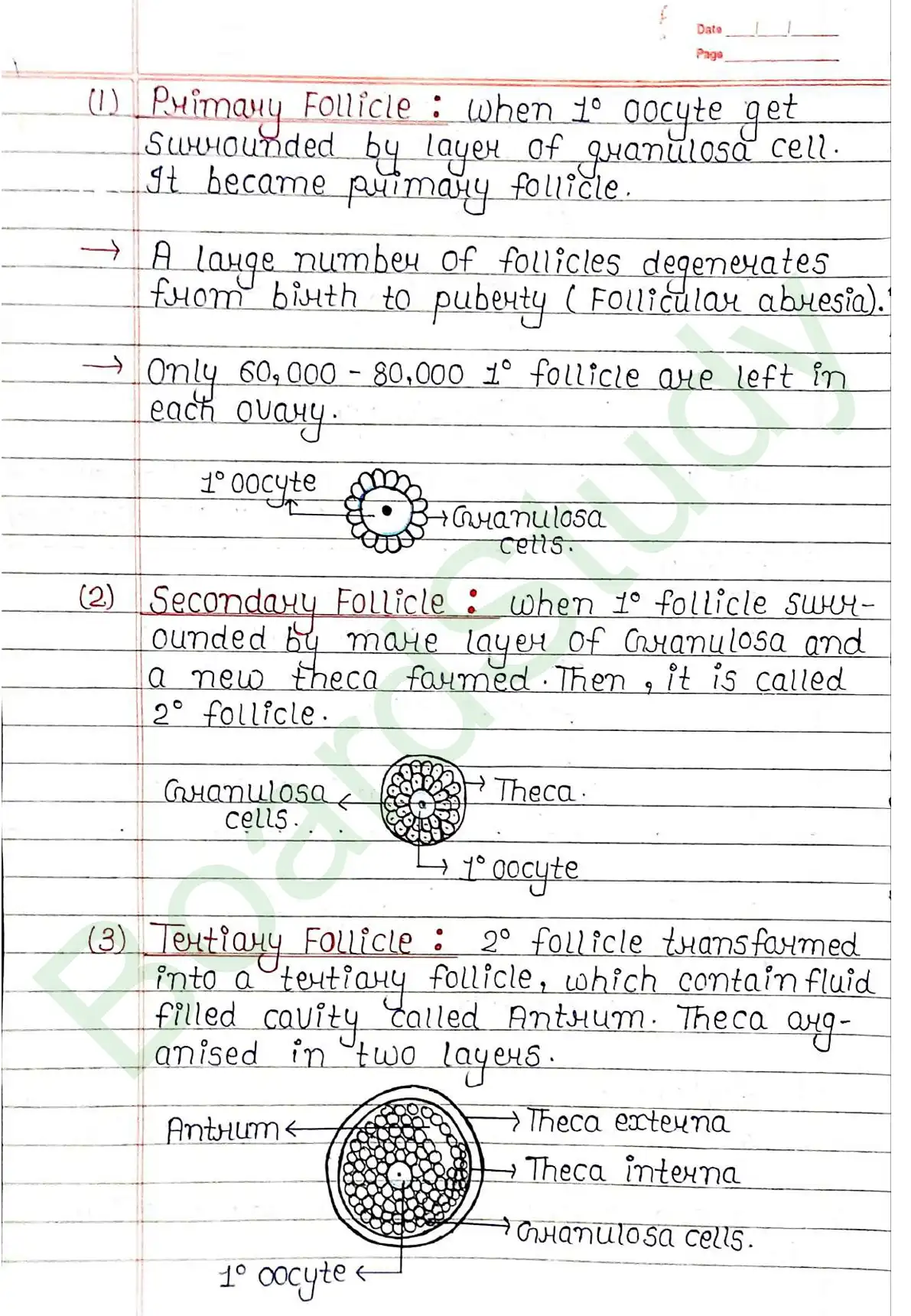 2. Human reproduction_page-0025