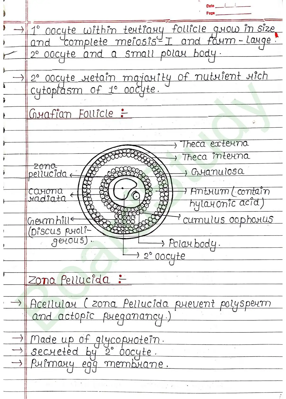 2. Human reproduction_page-0026