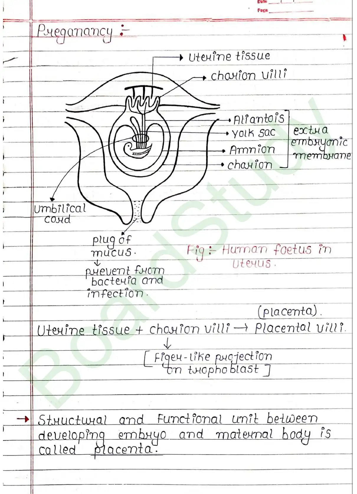 2. Human reproduction_page-0034