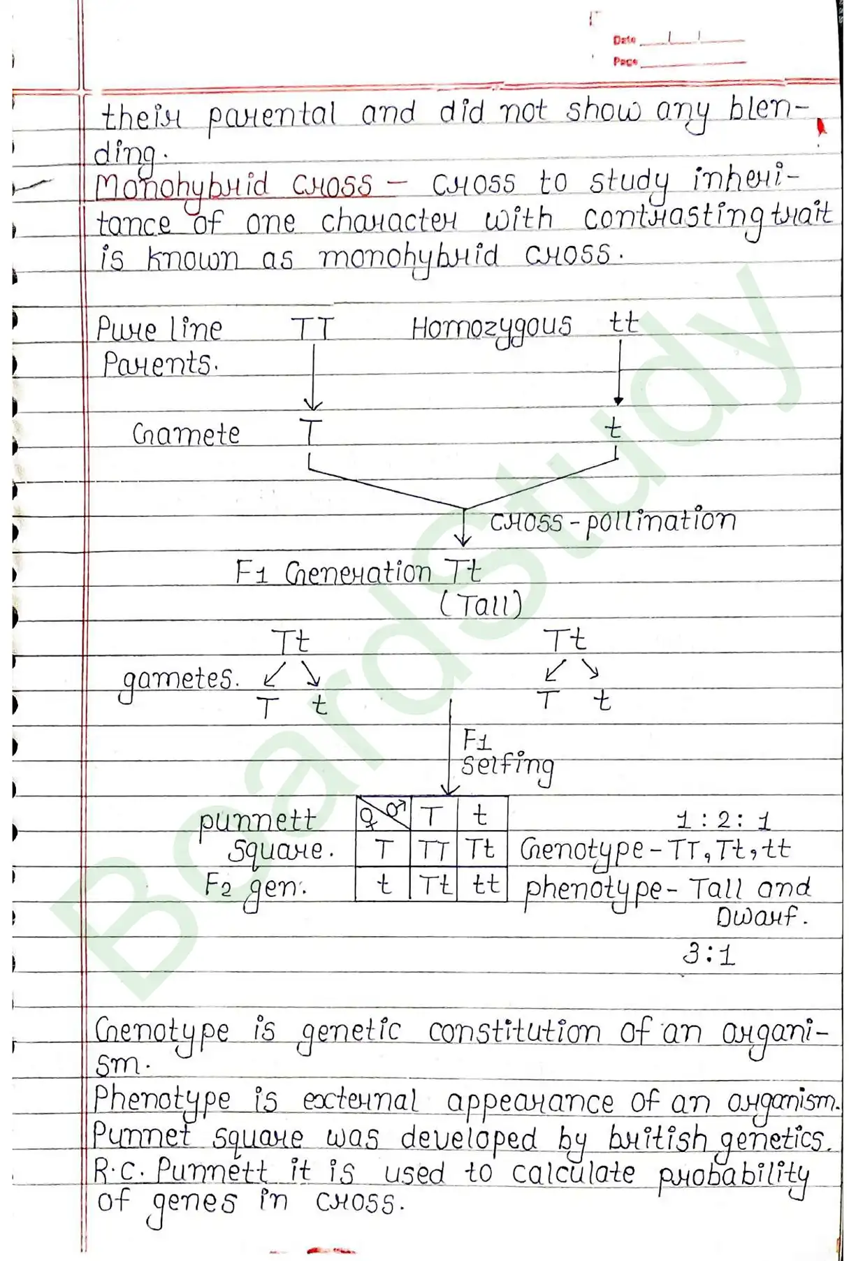 4. Principals of inheritance variation_page-0005