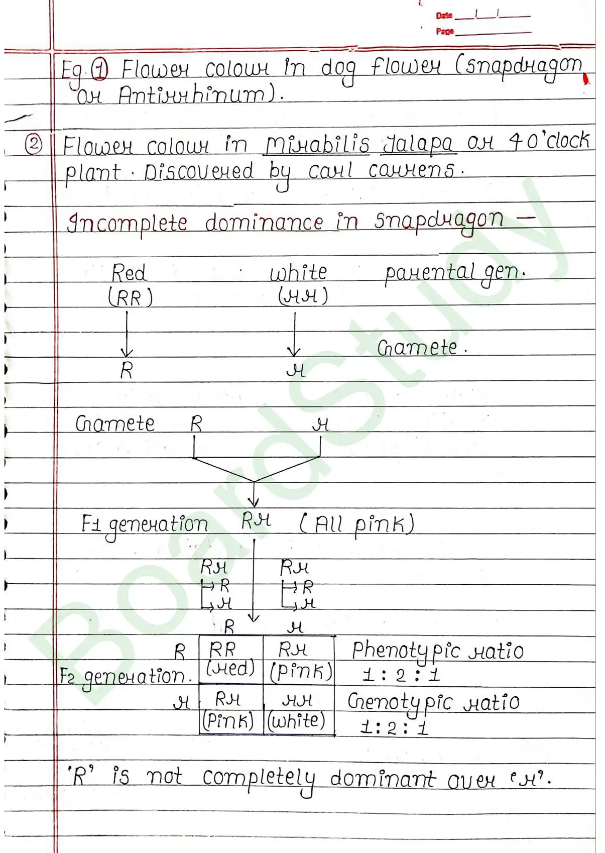 4. Principals of inheritance variation_page-0007