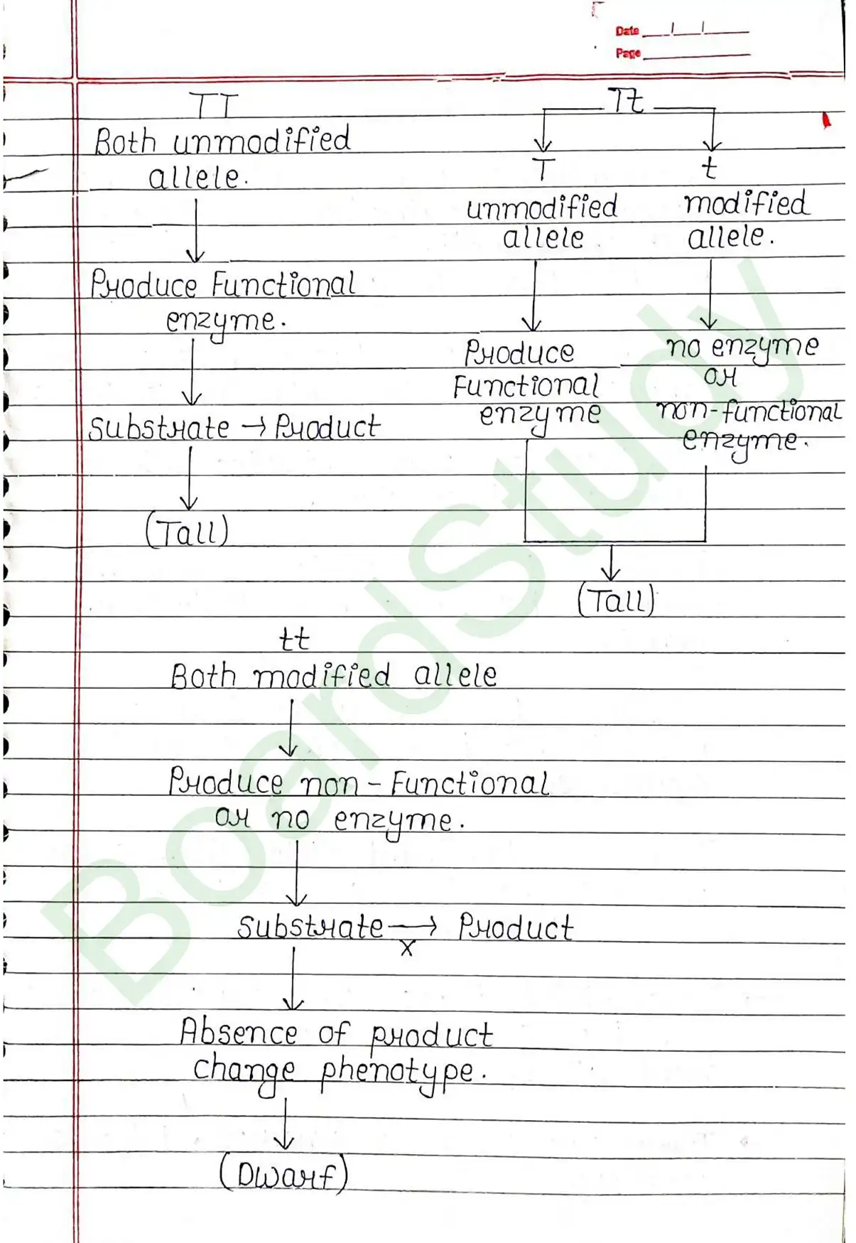 4. Principals of inheritance variation_page-0009