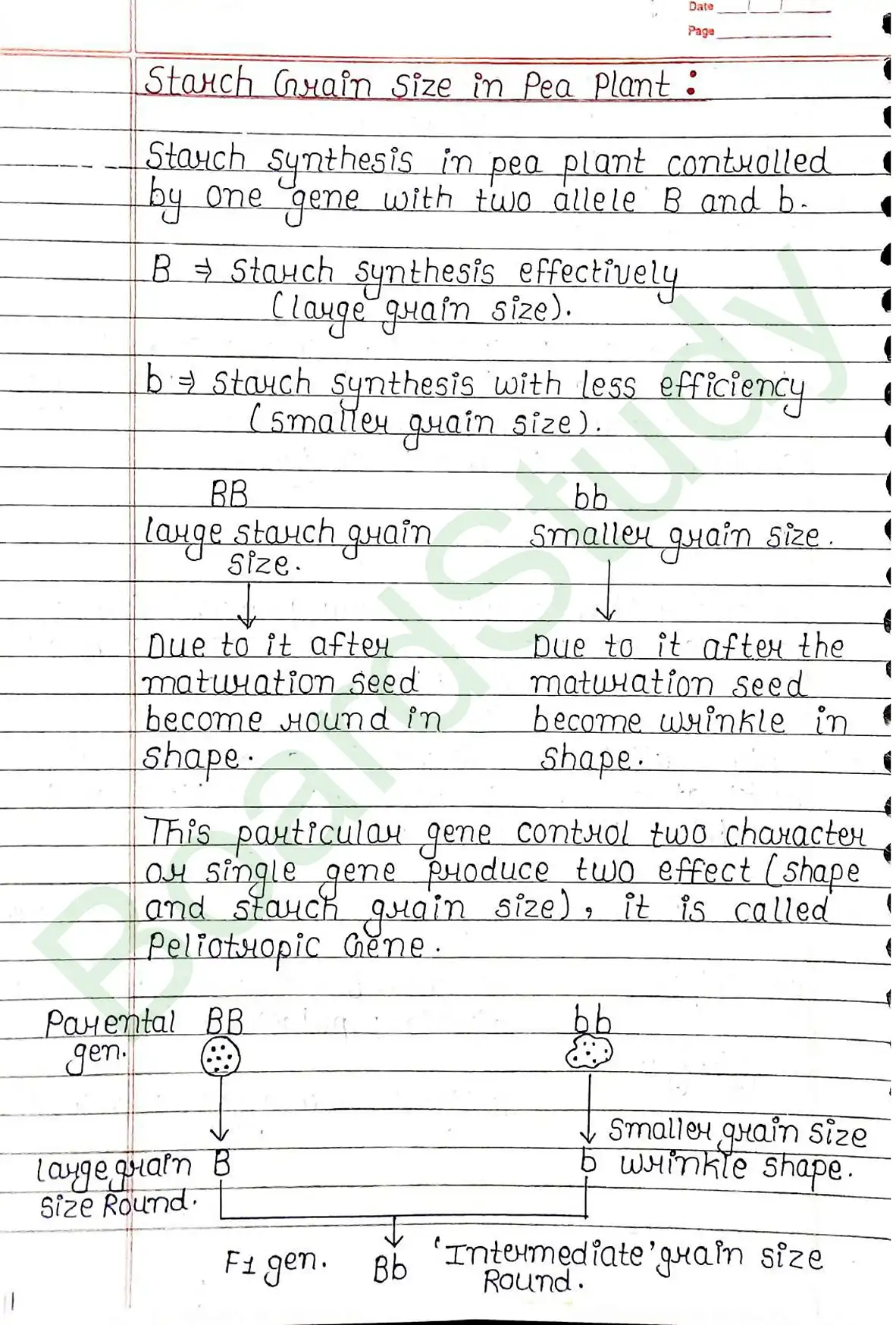 4. Principals of inheritance variation_page-0012