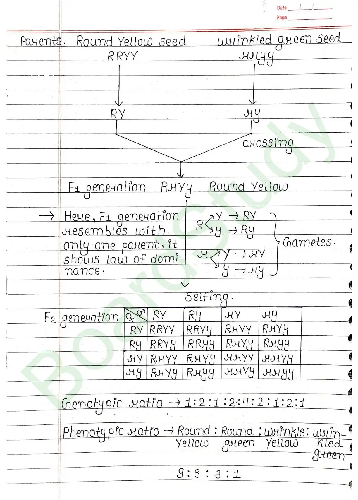 4. Principals of inheritance variation_page-0014