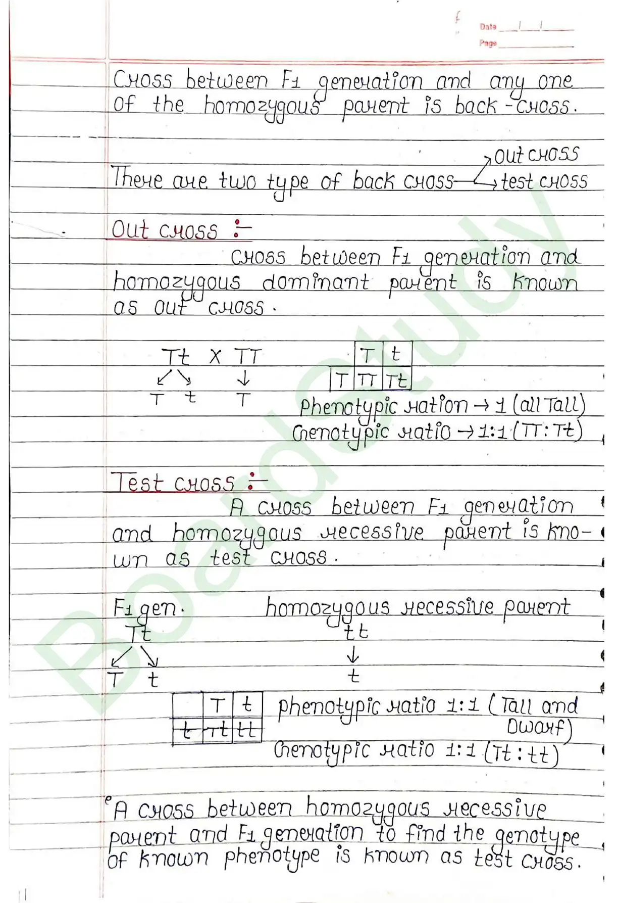 4. Principals of inheritance variation_page-0016