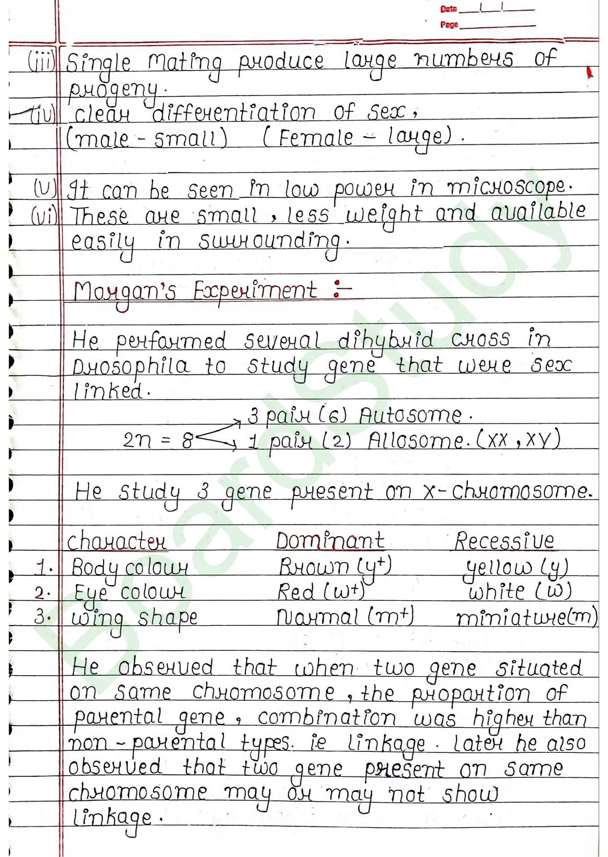 4. Principals of inheritance variation_page-0021