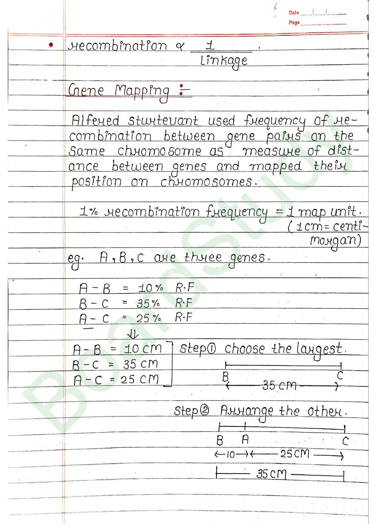 4. Principals of inheritance variation_page-0024