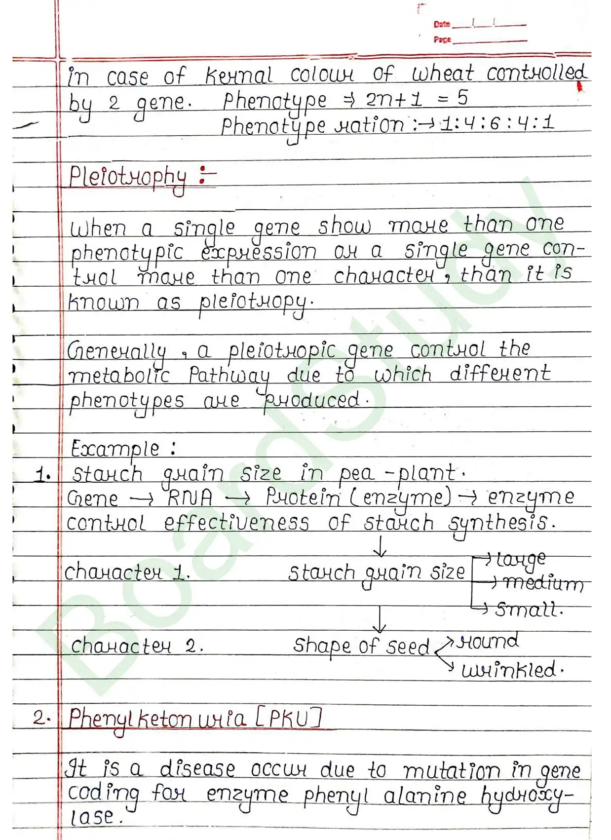4. Principals of inheritance variation_page-0027