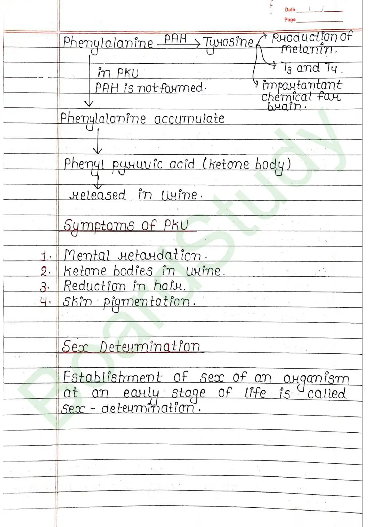 4. Principals of inheritance variation_page-0028