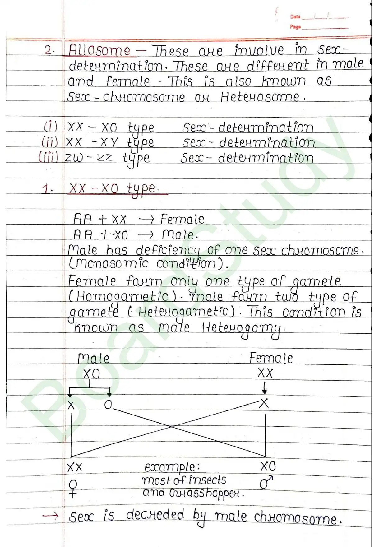 4. Principals of inheritance variation_page-0030