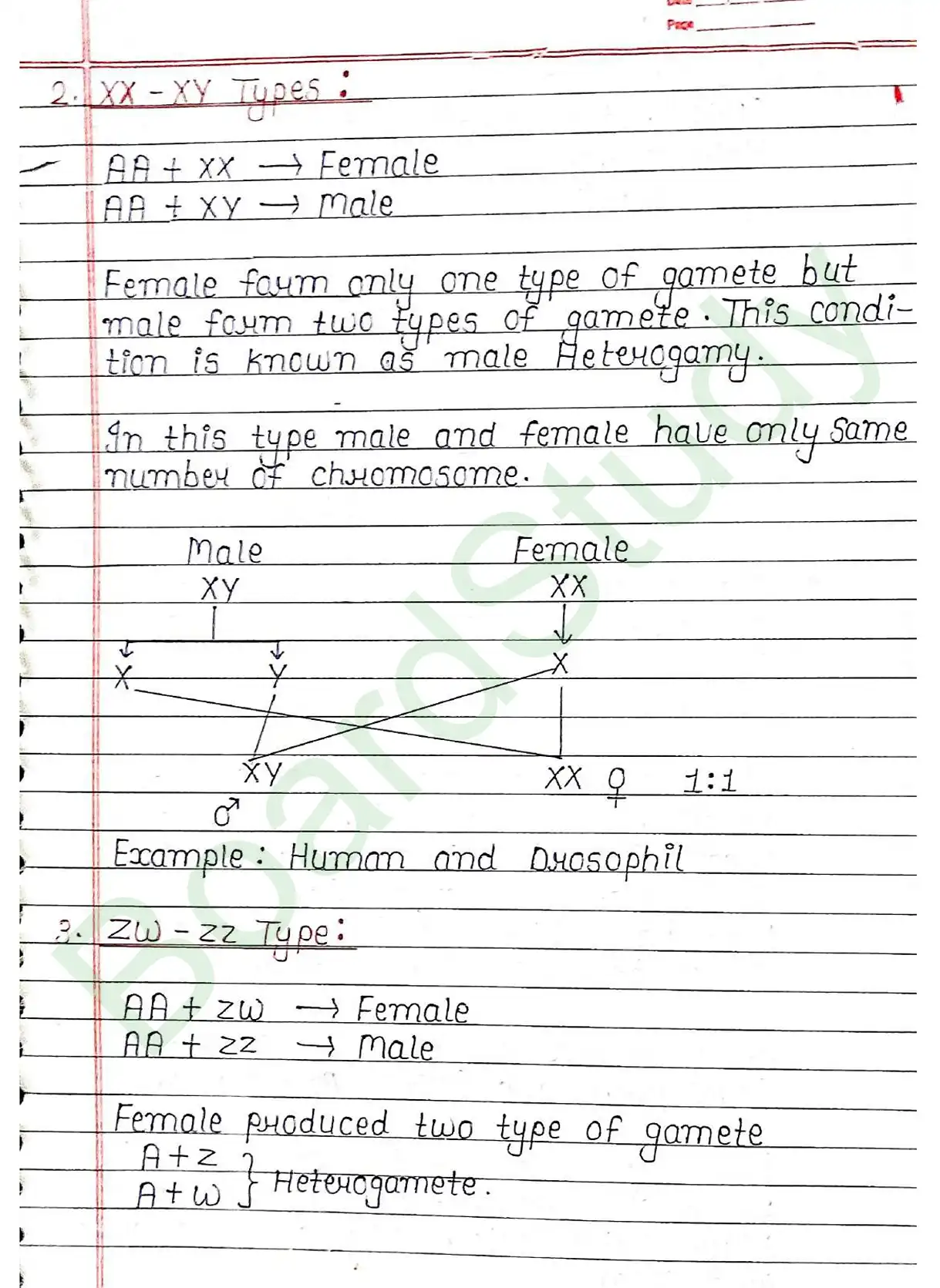 4. Principals of inheritance variation_page-0031
