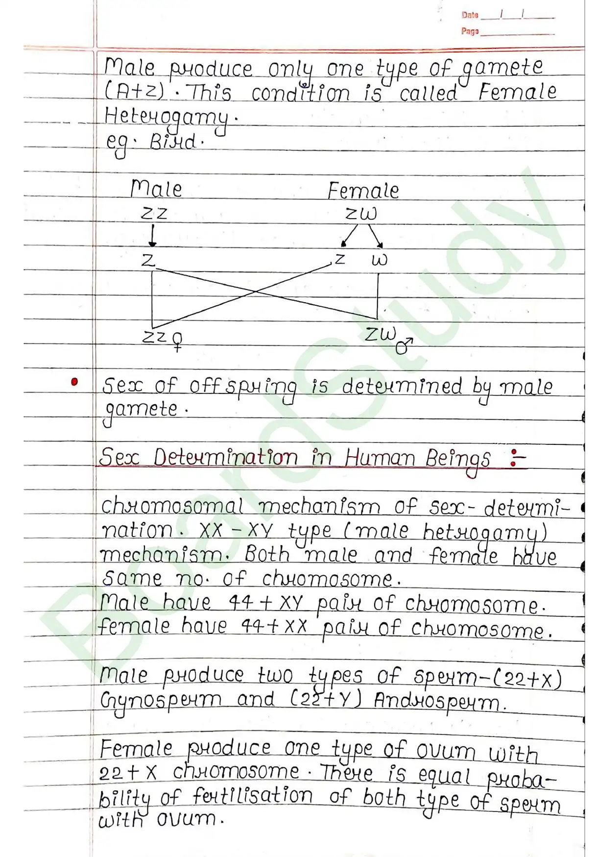 4. Principals of inheritance variation_page-0032
