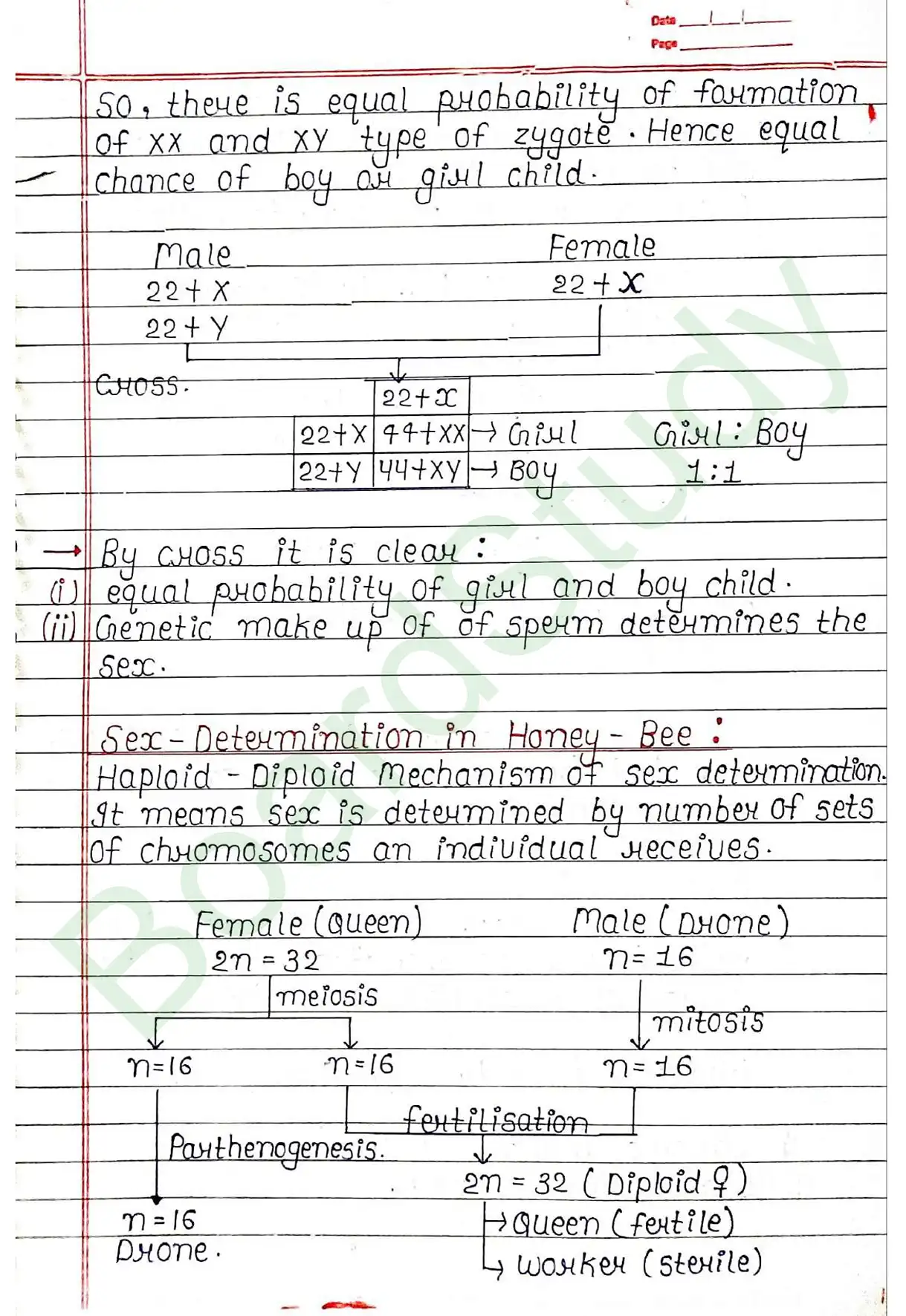 4. Principals of inheritance variation_page-0033
