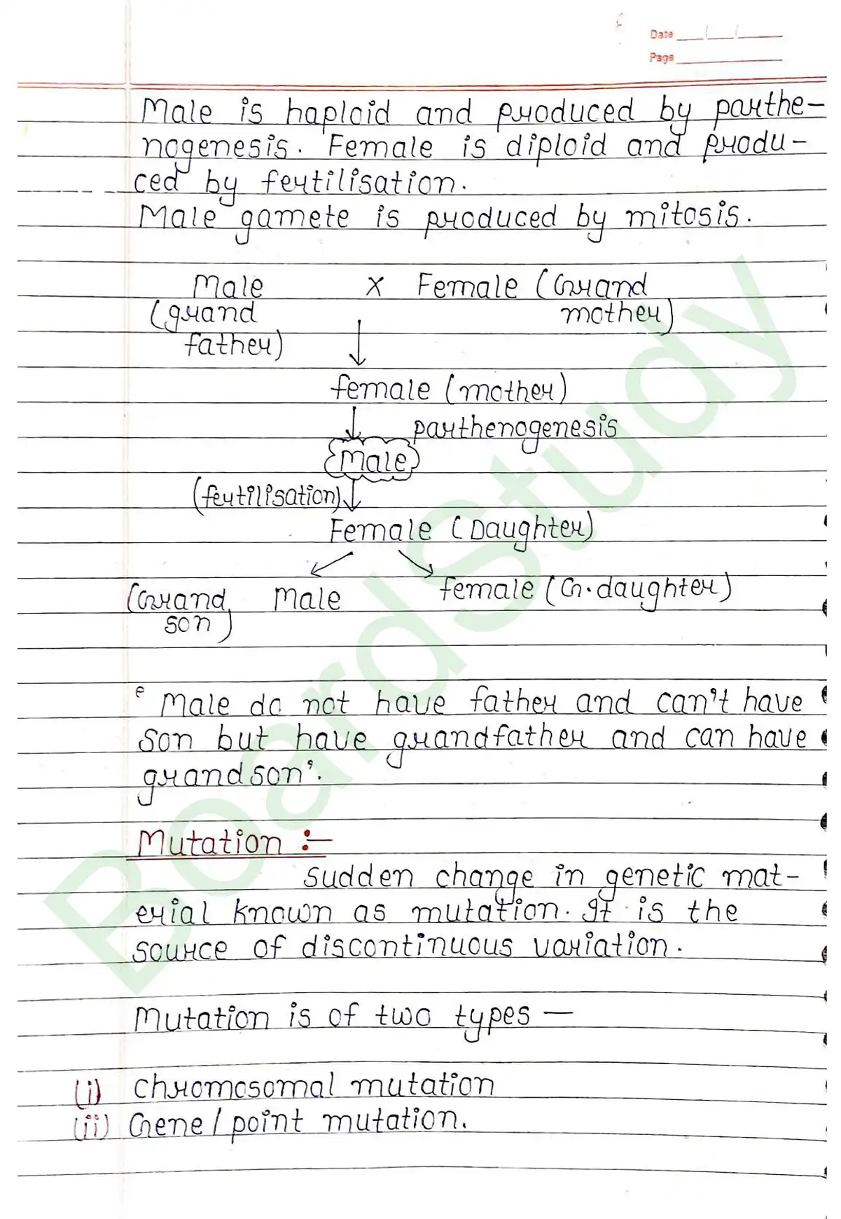 4. Principals of inheritance variation_page-0034
