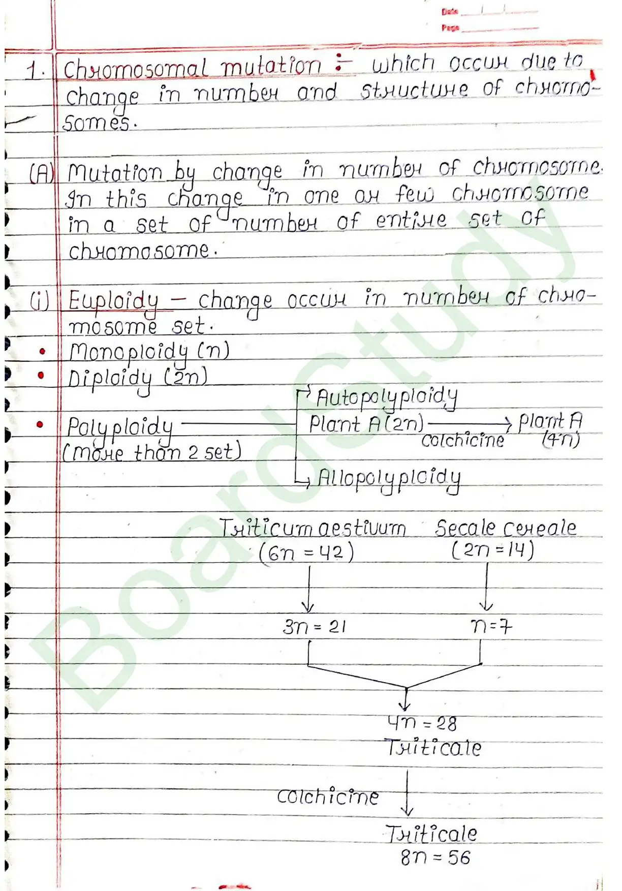 4. Principals of inheritance variation_page-0035
