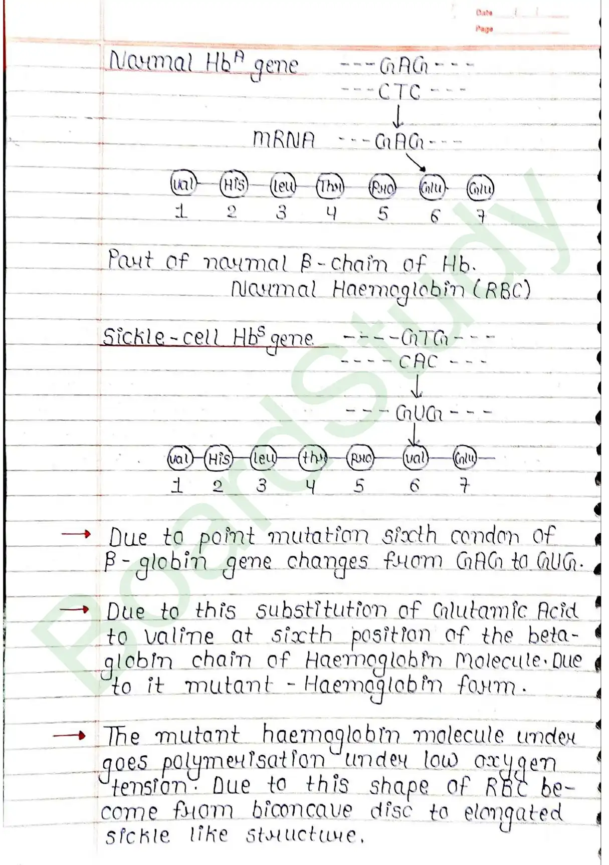4. Principals of inheritance variation_page-0046