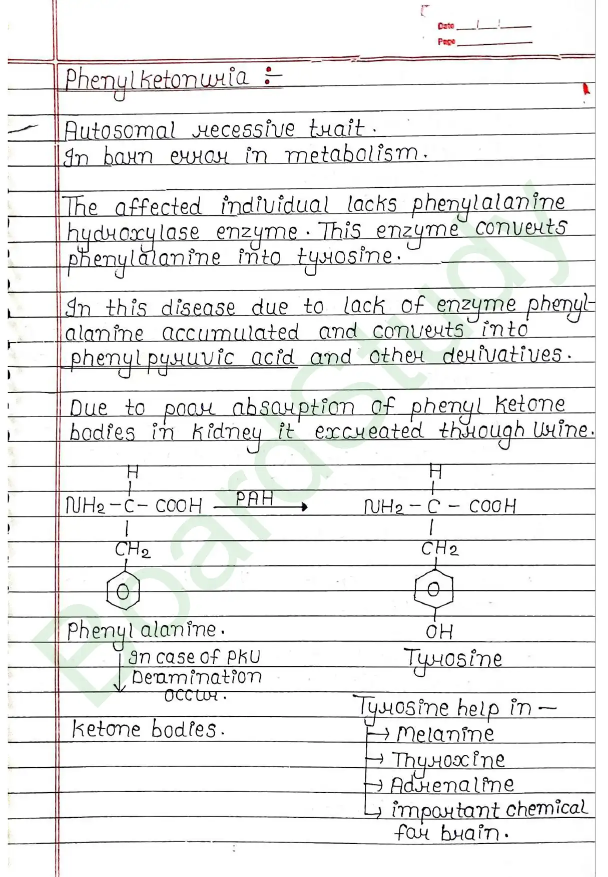 4. Principals of inheritance variation_page-0049