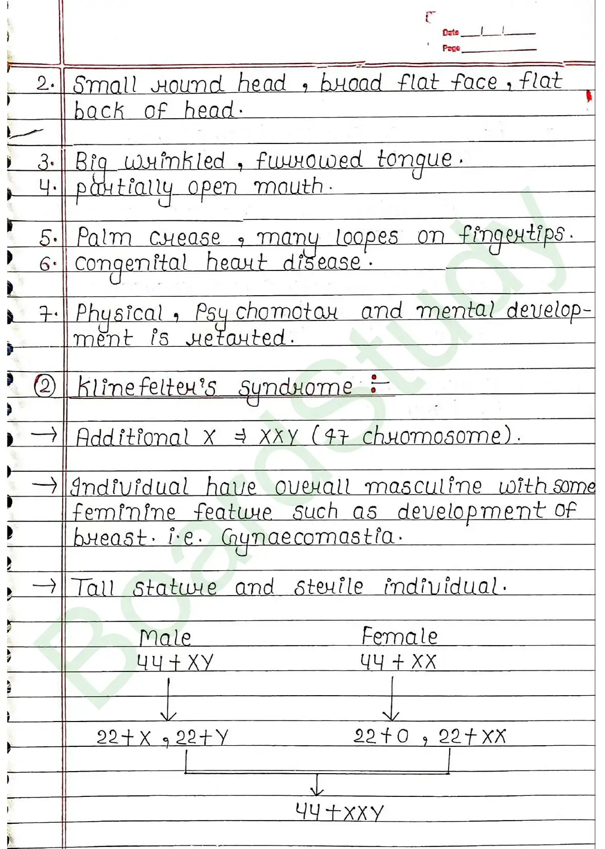 4. Principals of inheritance variation_page-0051