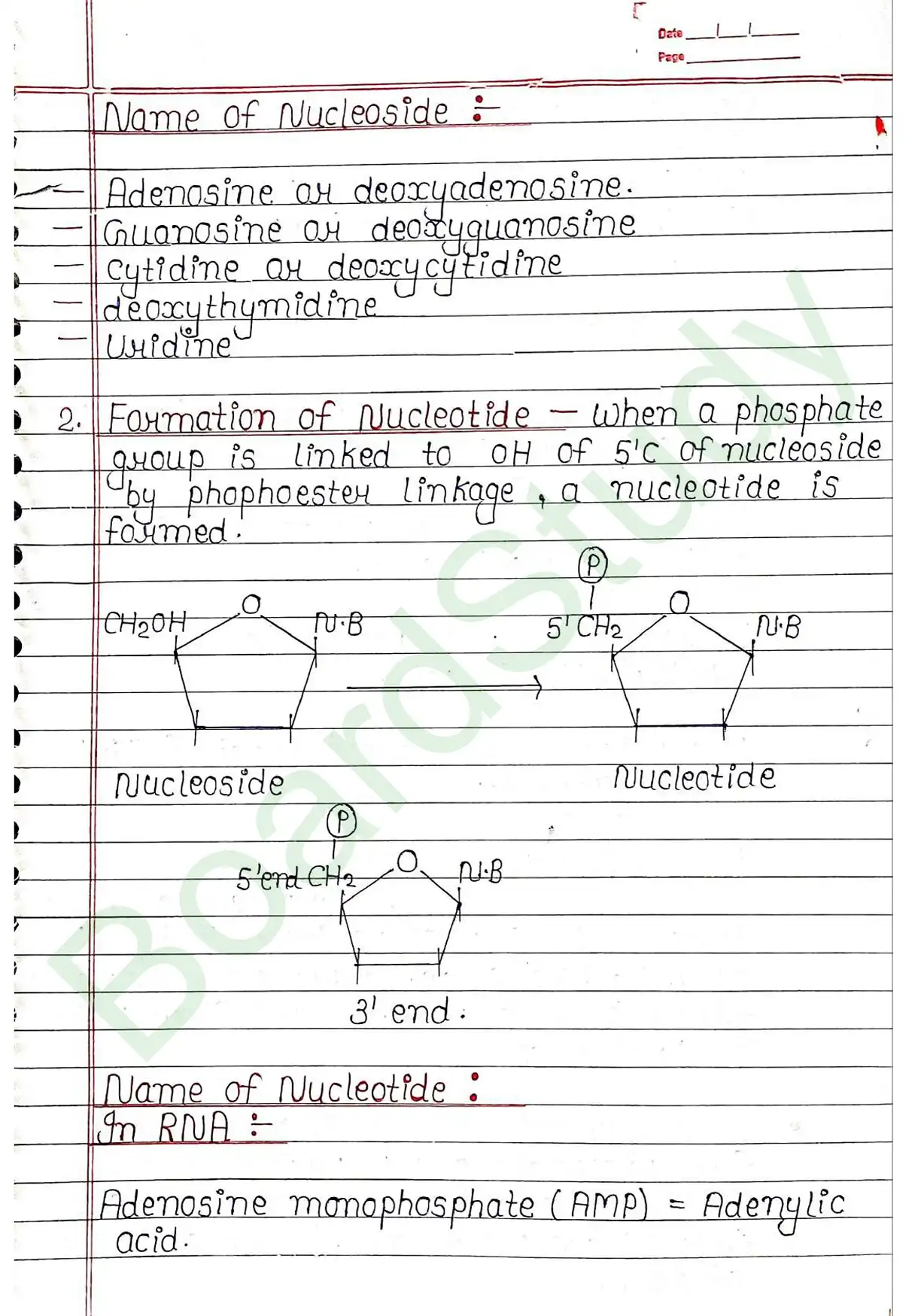 5. Molecular basis of inheritance_page-0003