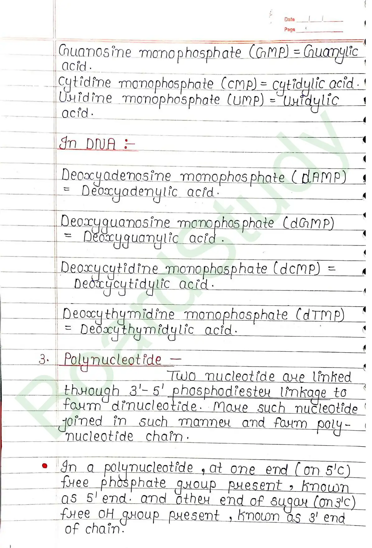 5. Molecular basis of inheritance_page-0004