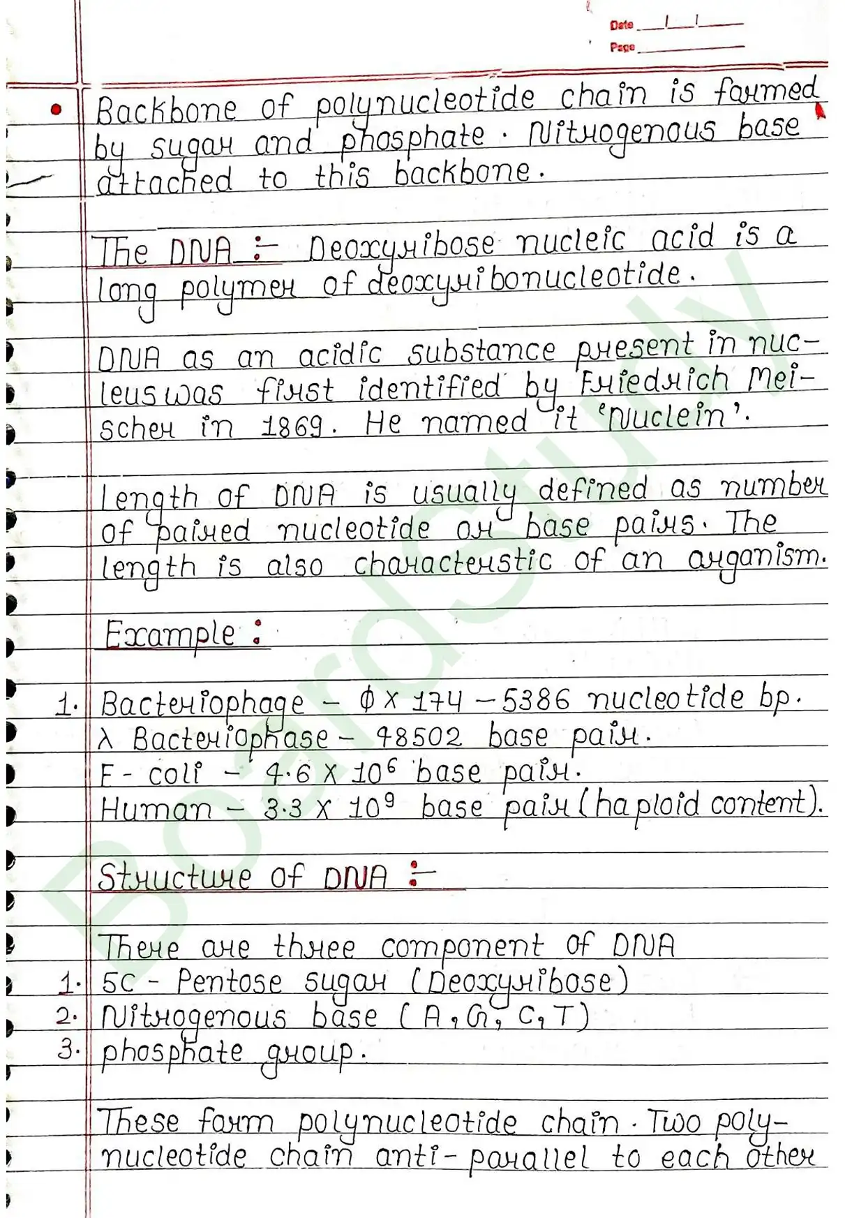 5. Molecular basis of inheritance_page-0005