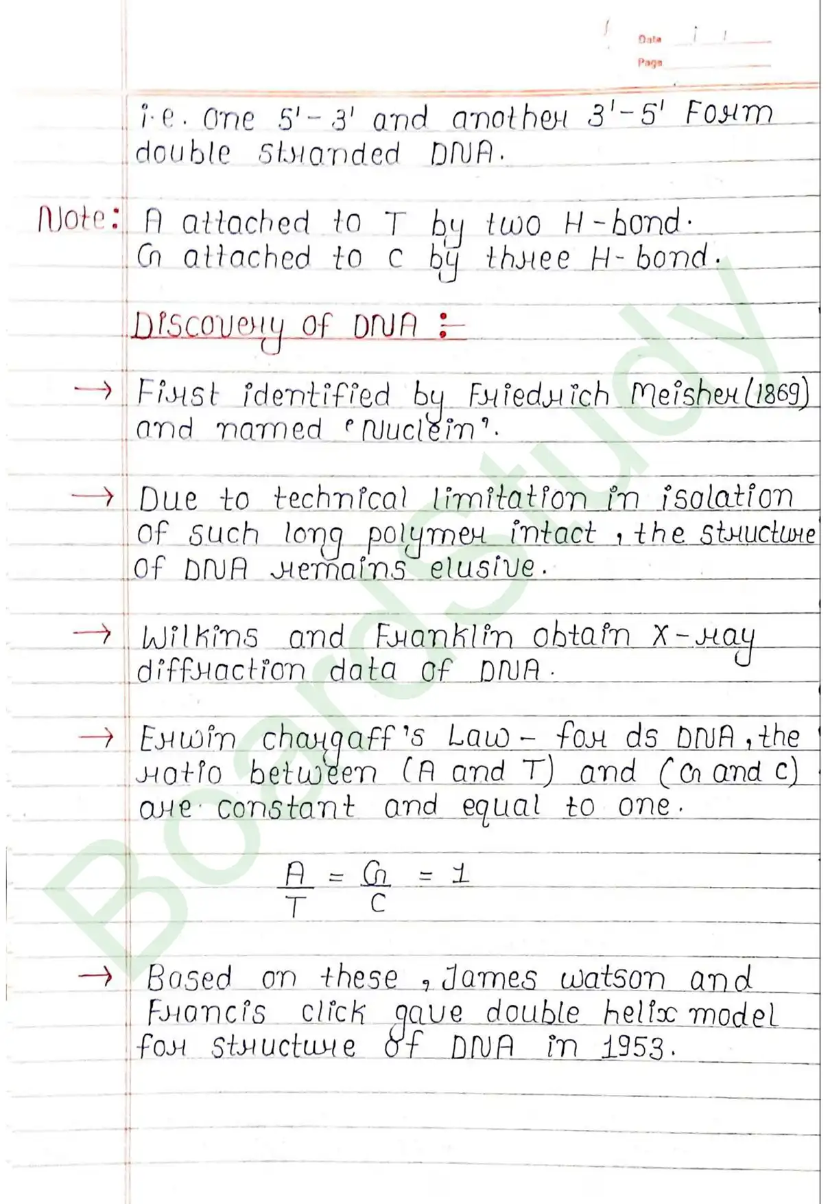 5. Molecular basis of inheritance_page-0006