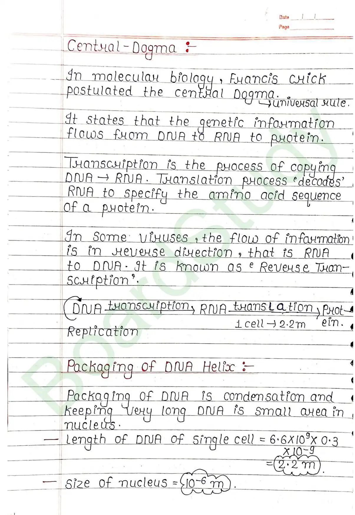 5. Molecular basis of inheritance_page-0008