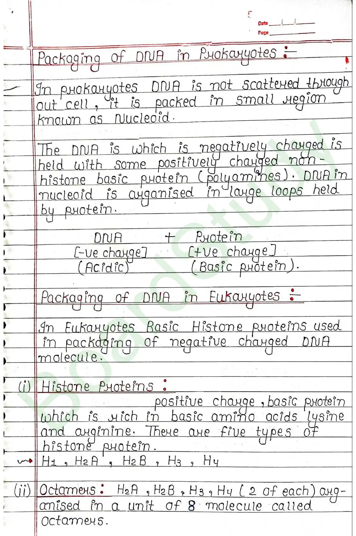 5. Molecular basis of inheritance_page-0009