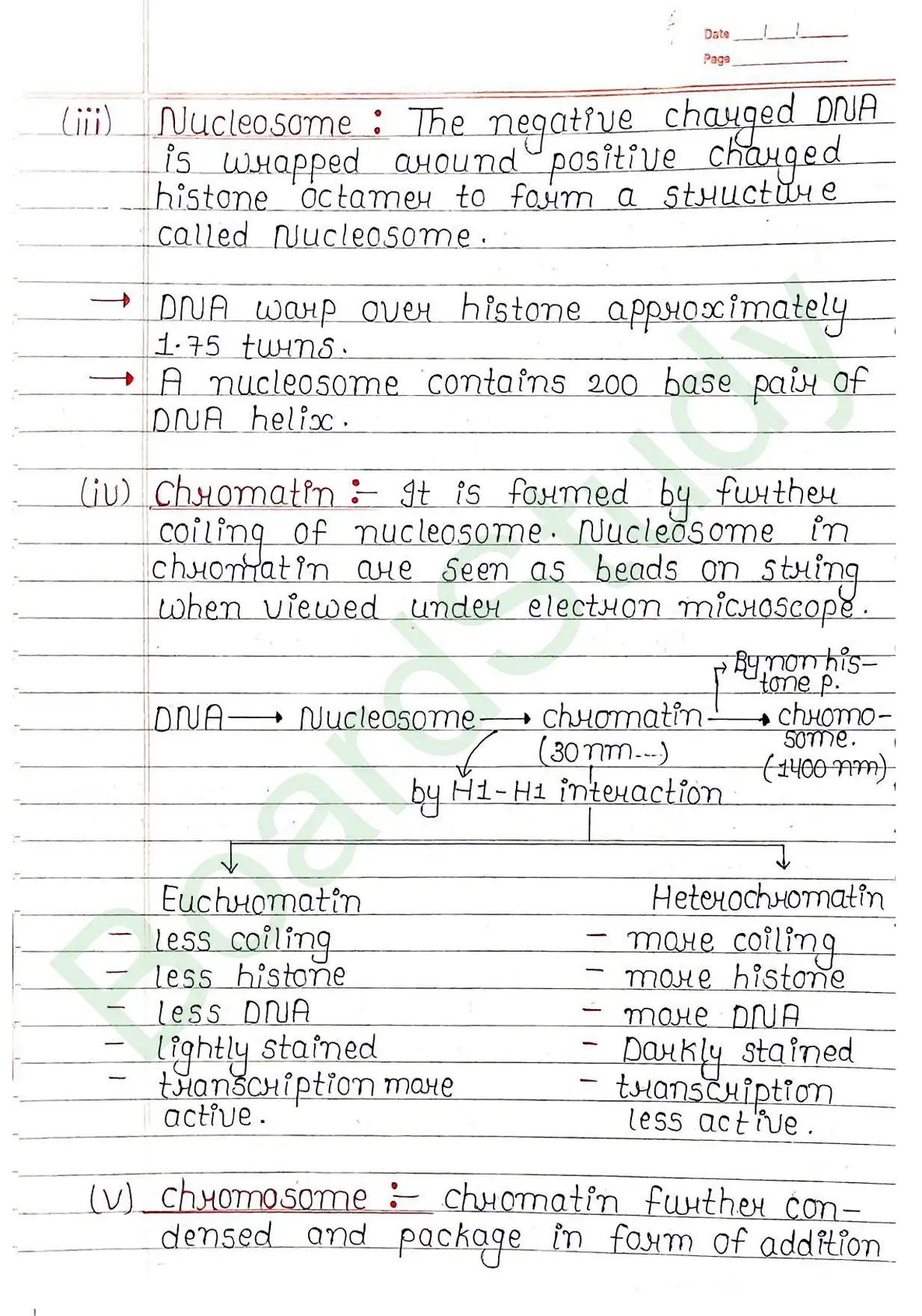 5. Molecular basis of inheritance_page-0010