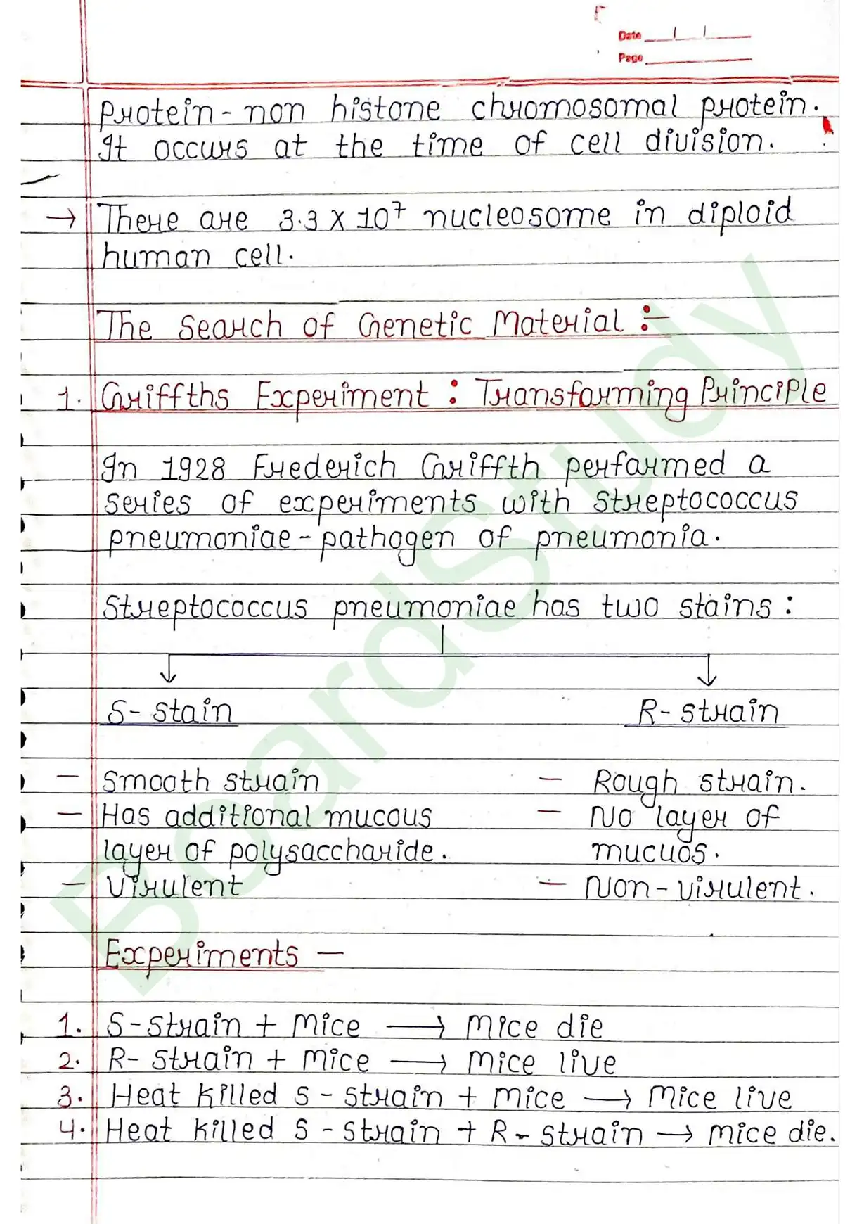 5. Molecular basis of inheritance_page-0011
