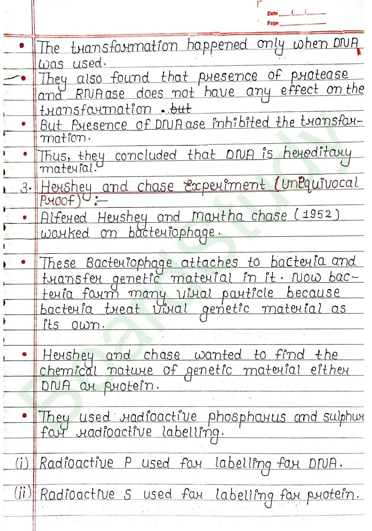 5. Molecular basis of inheritance_page-0013